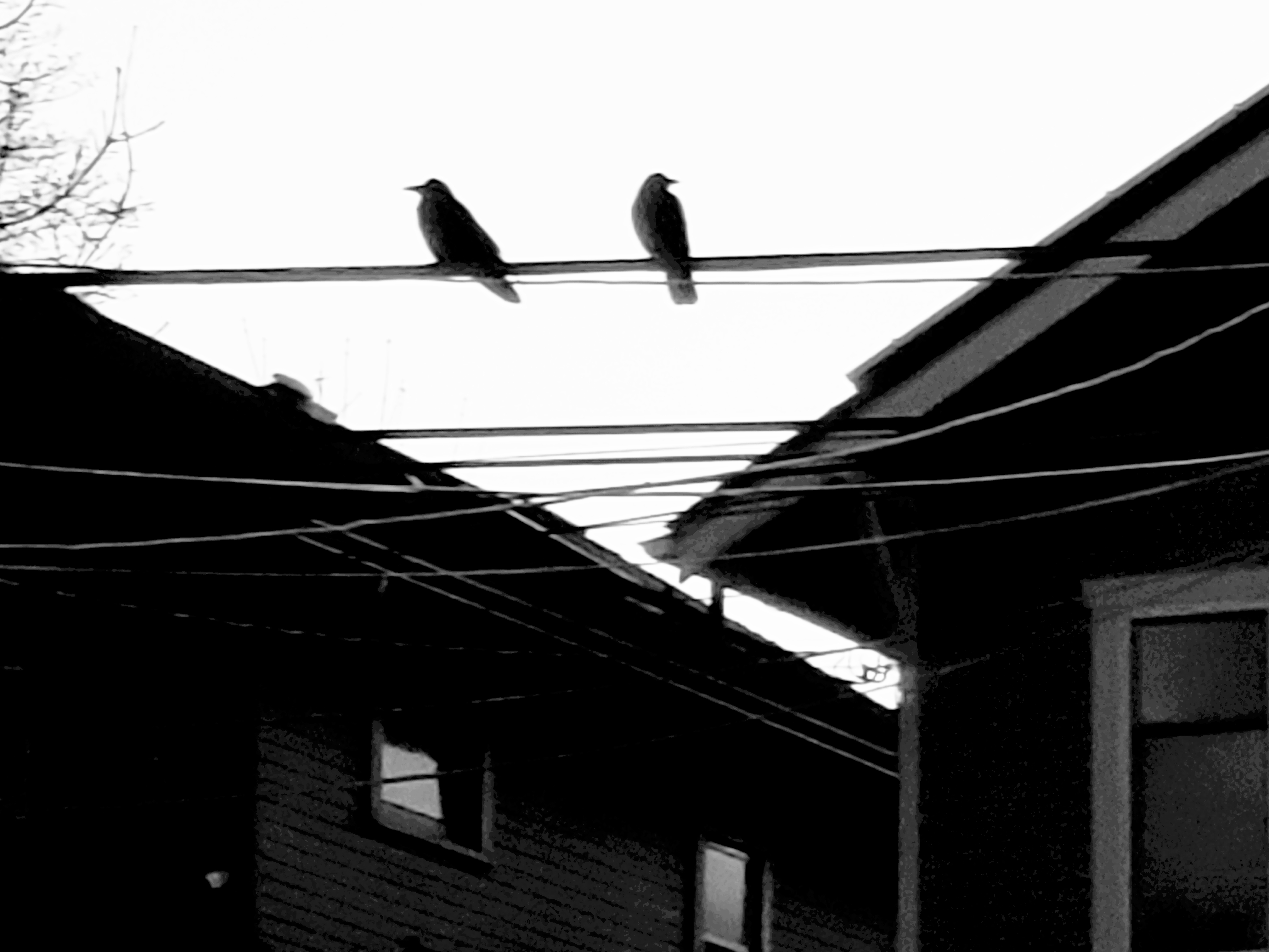 20200407_001631.jpg