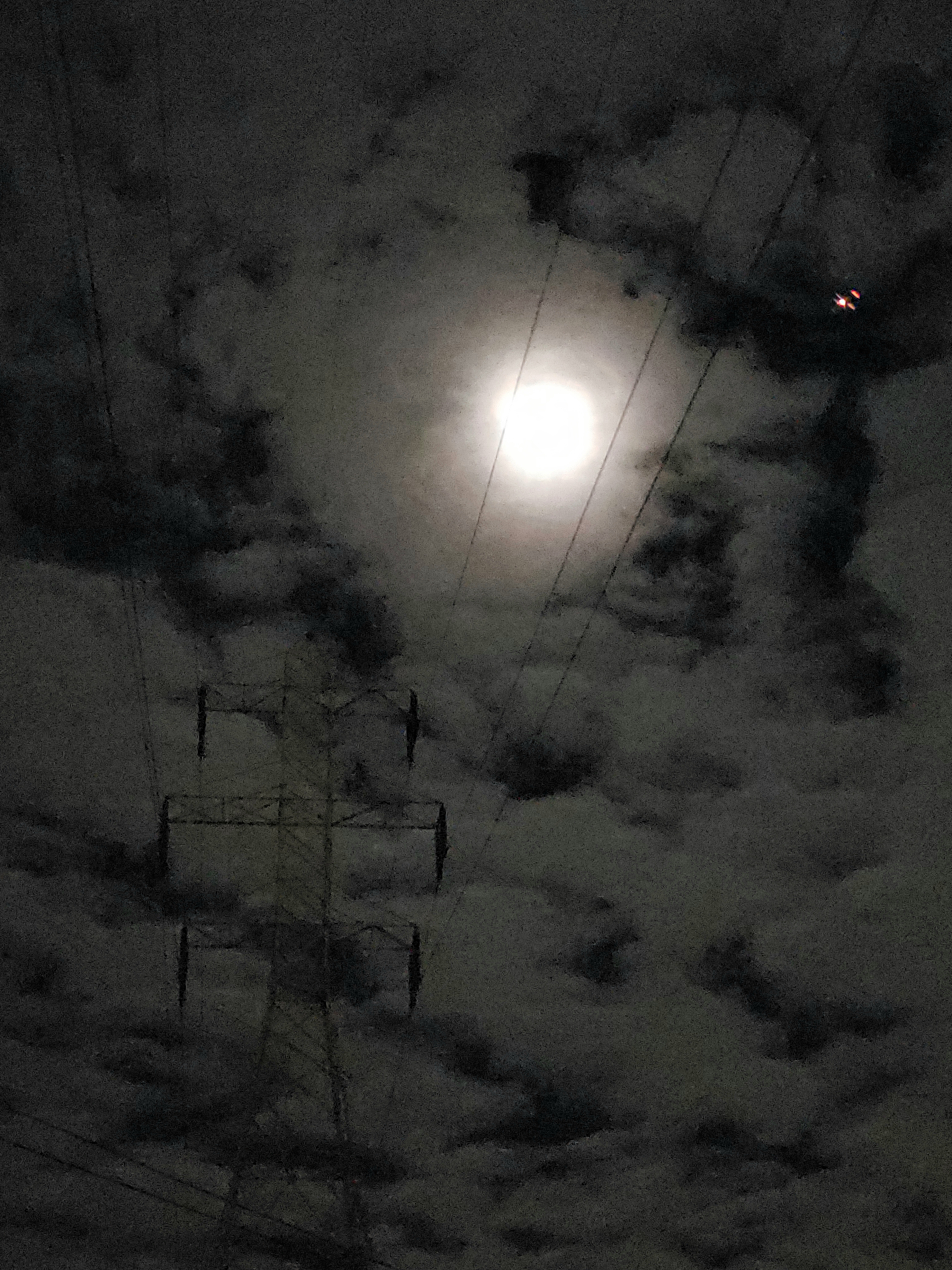 20200407_015814.jpg