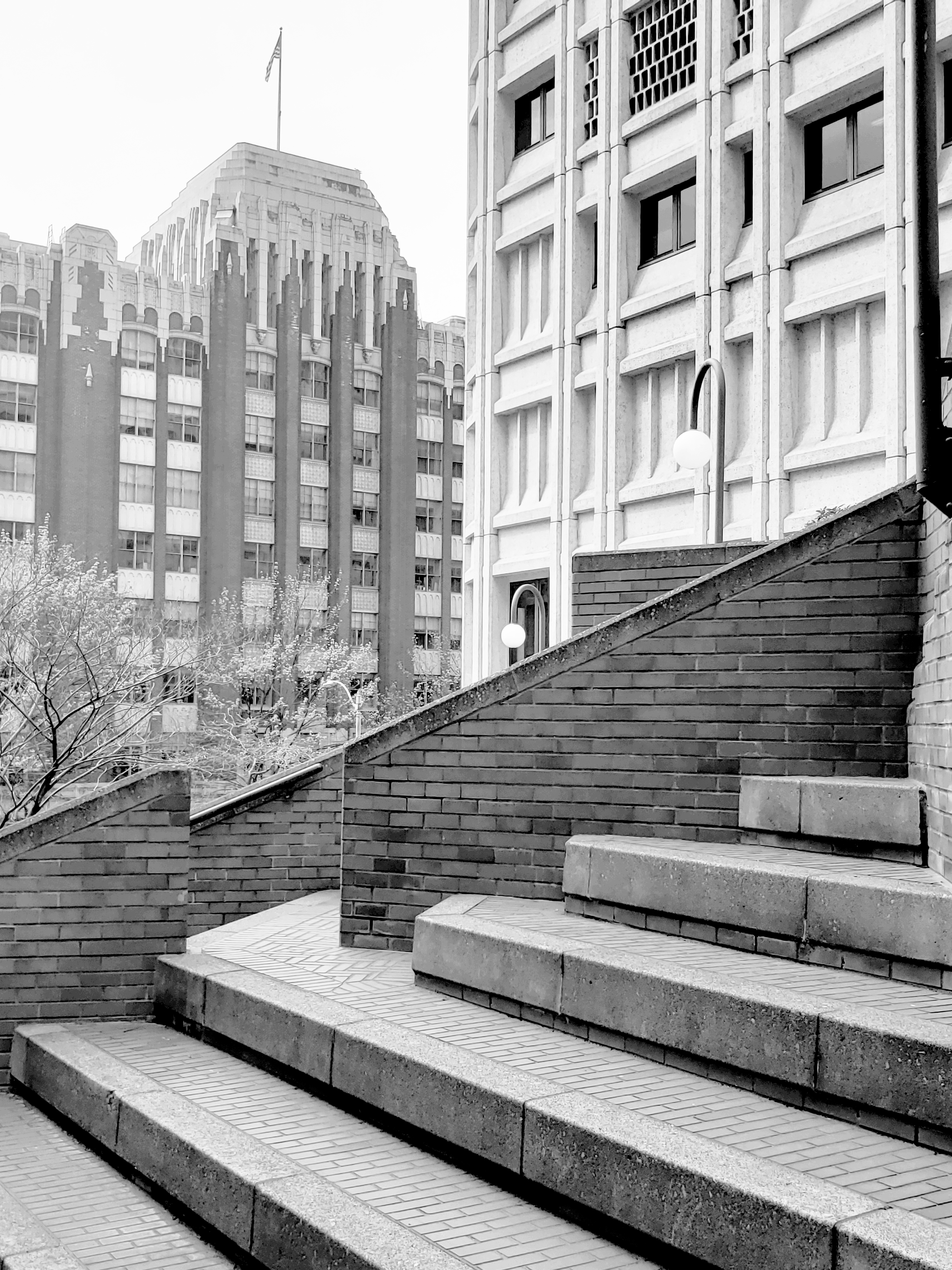 20200417_141551.jpg