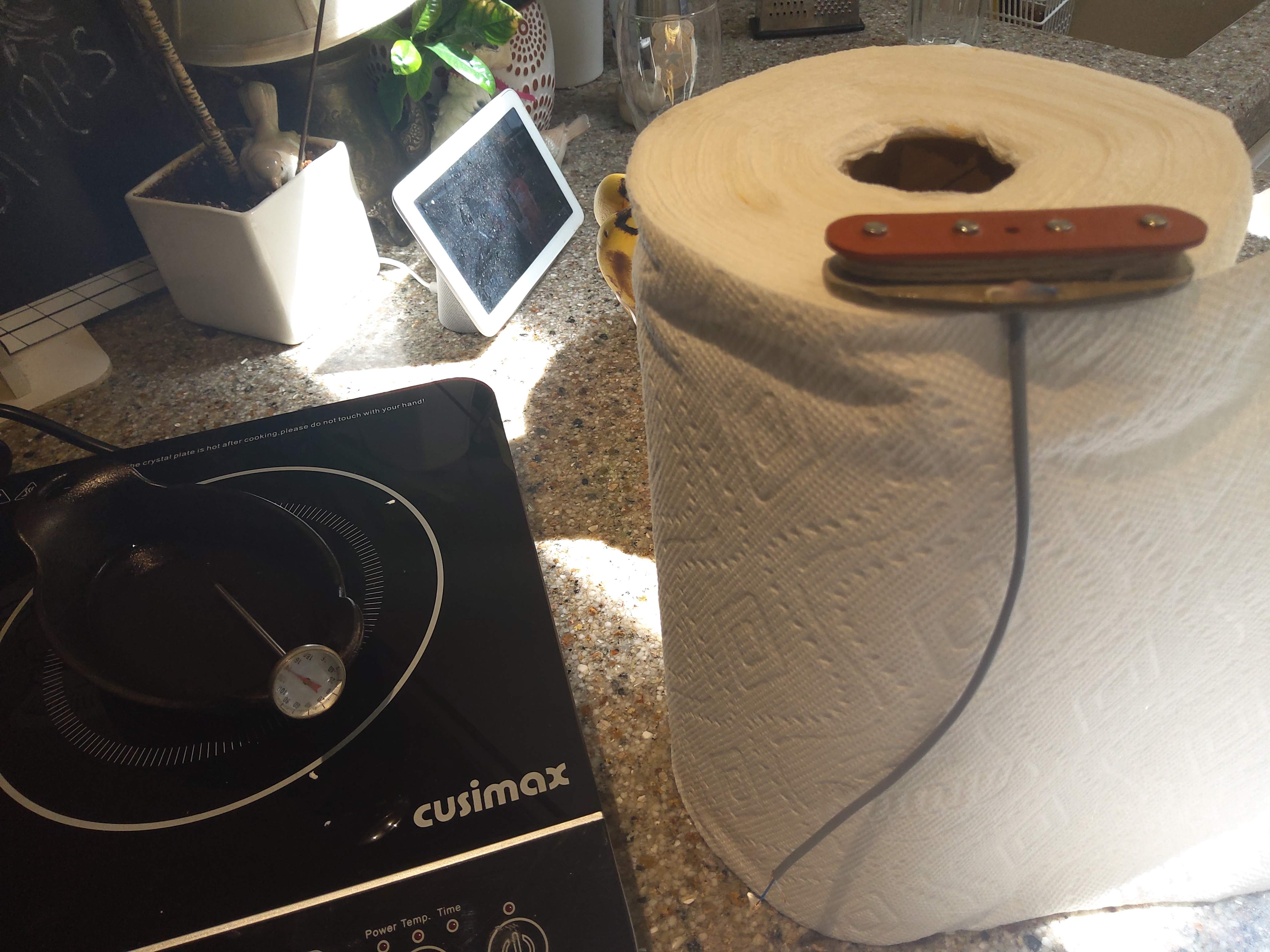 20200425_103626.jpg