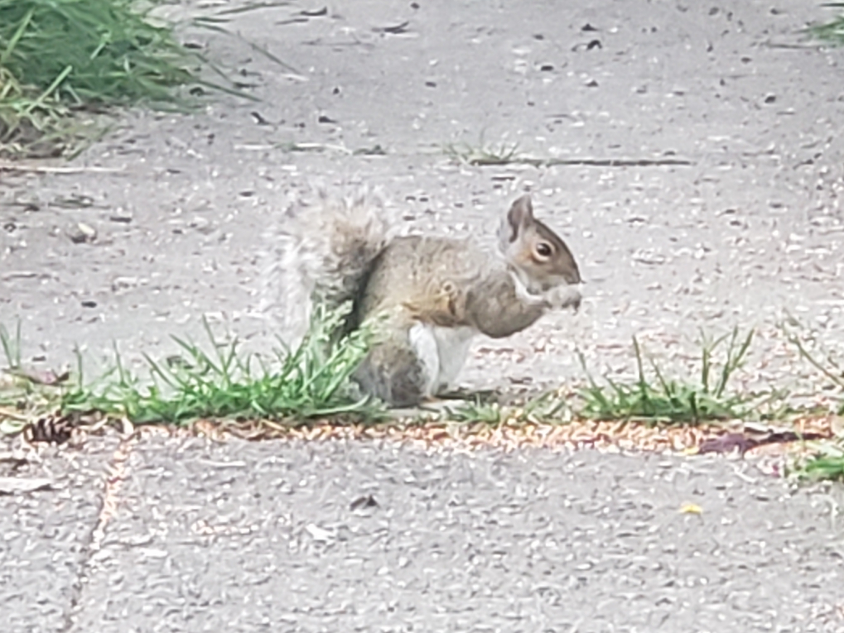 20200516_063910.jpg
