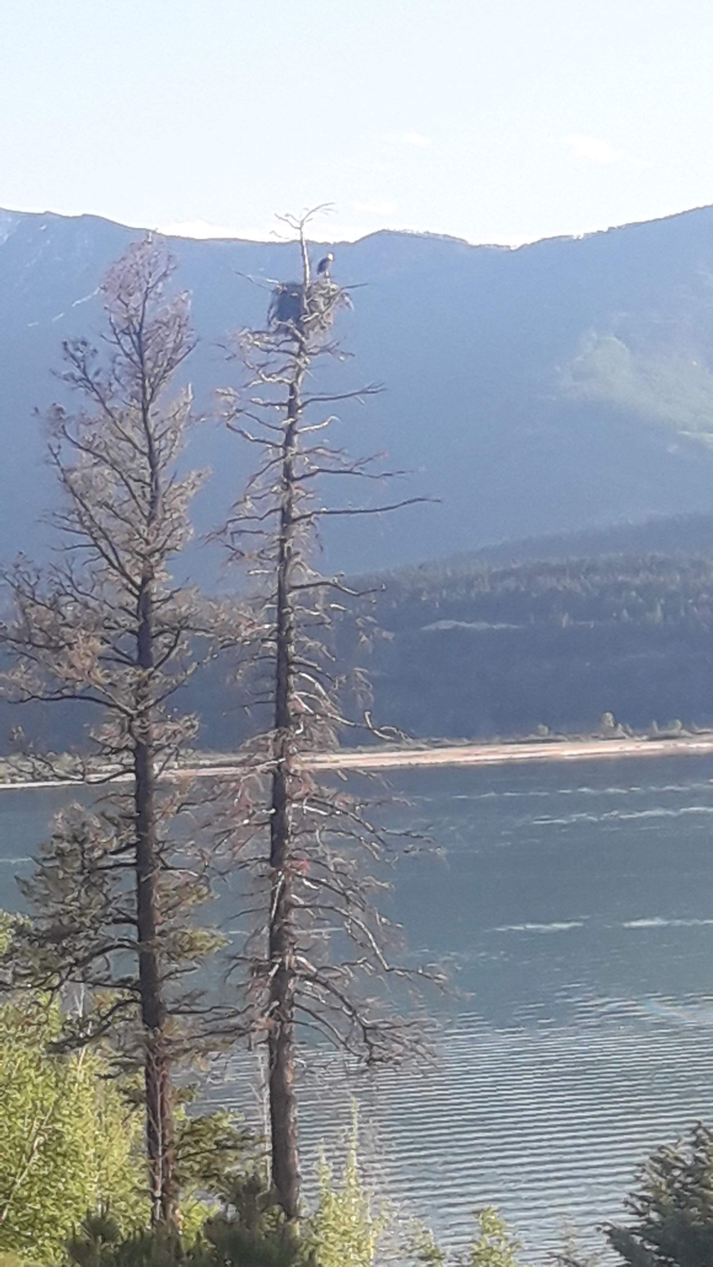 20200529_201144.jpg