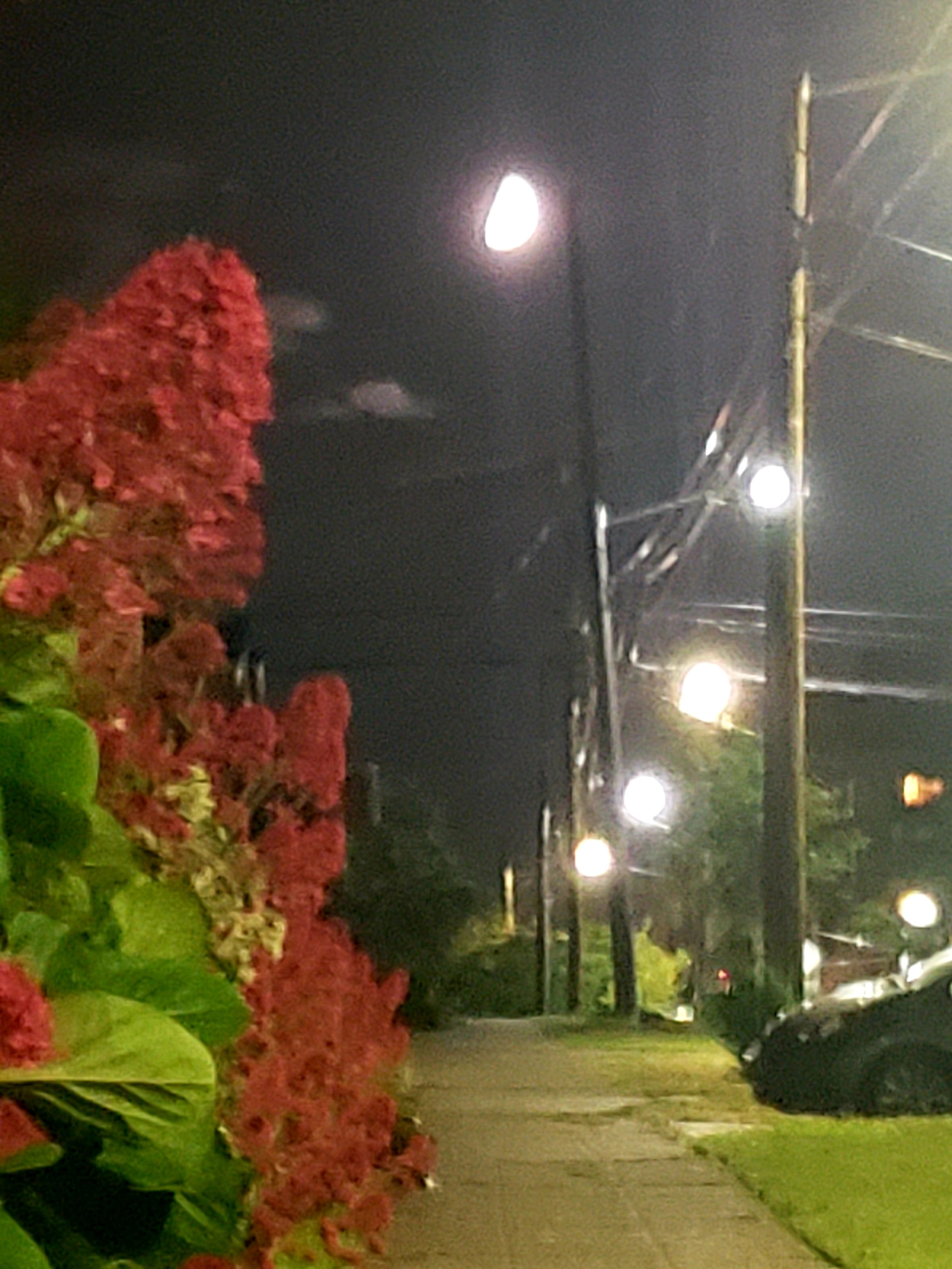 20200530_005849.jpg