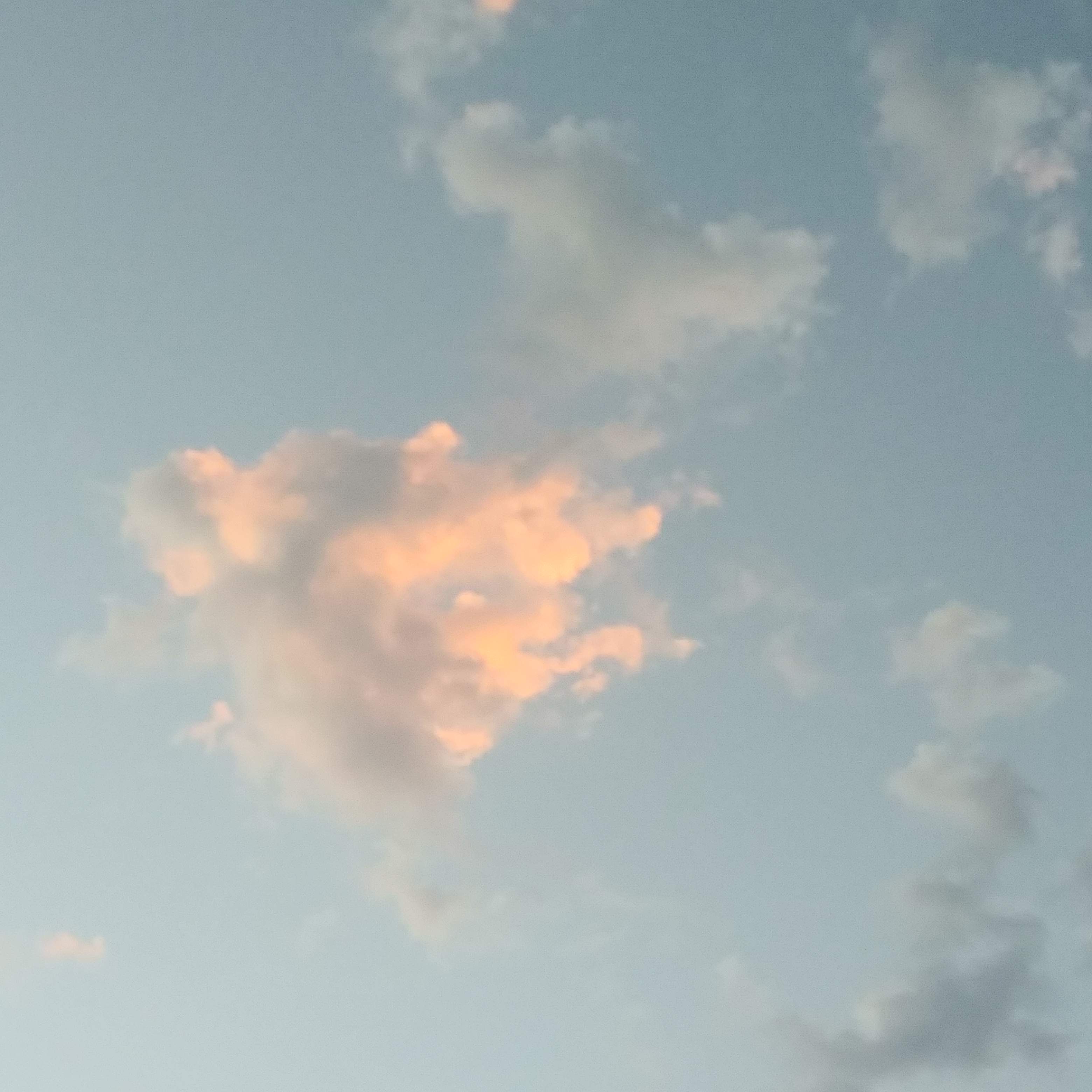 20200603_195802.jpg