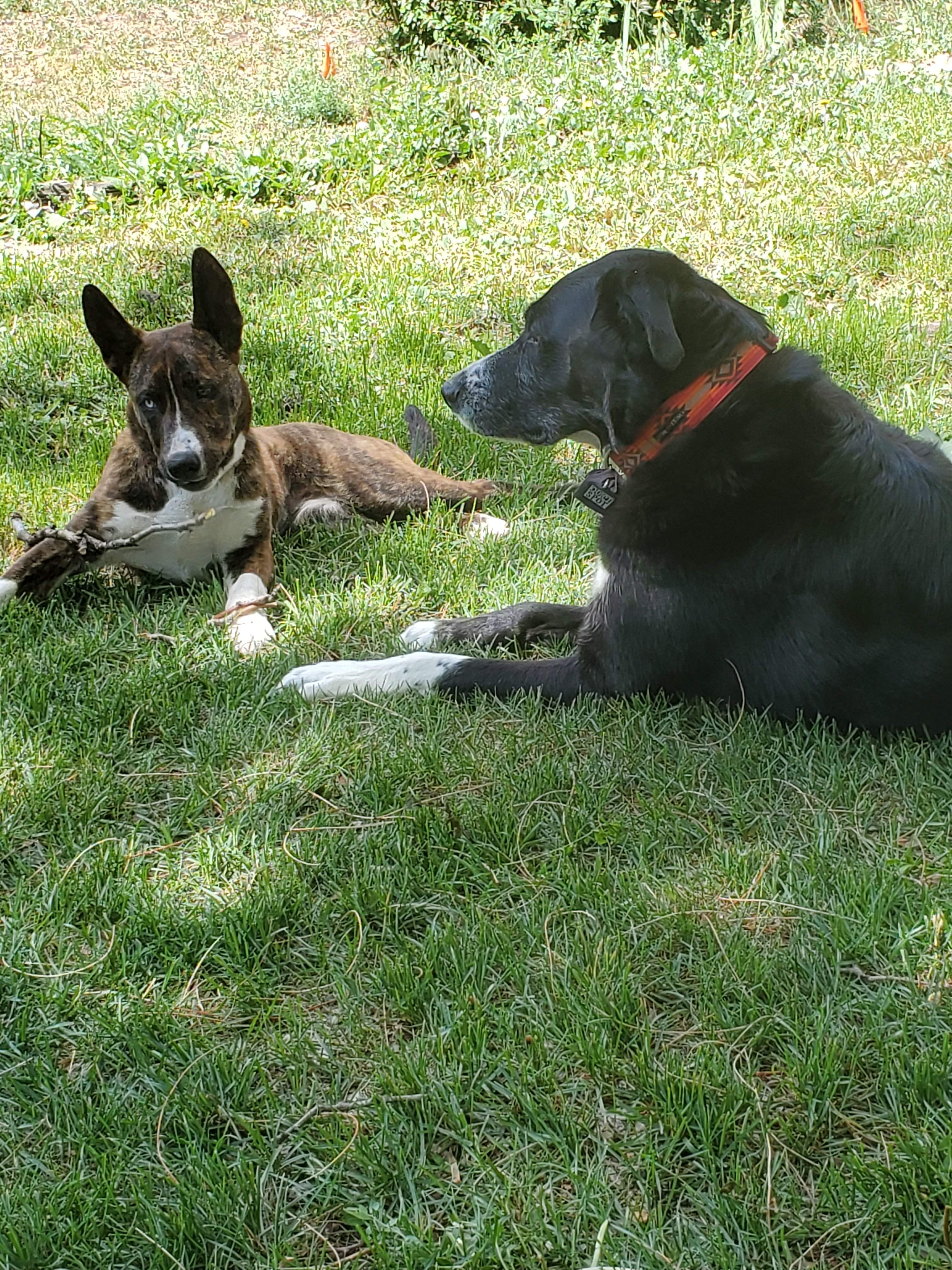 20200609_145701.jpg