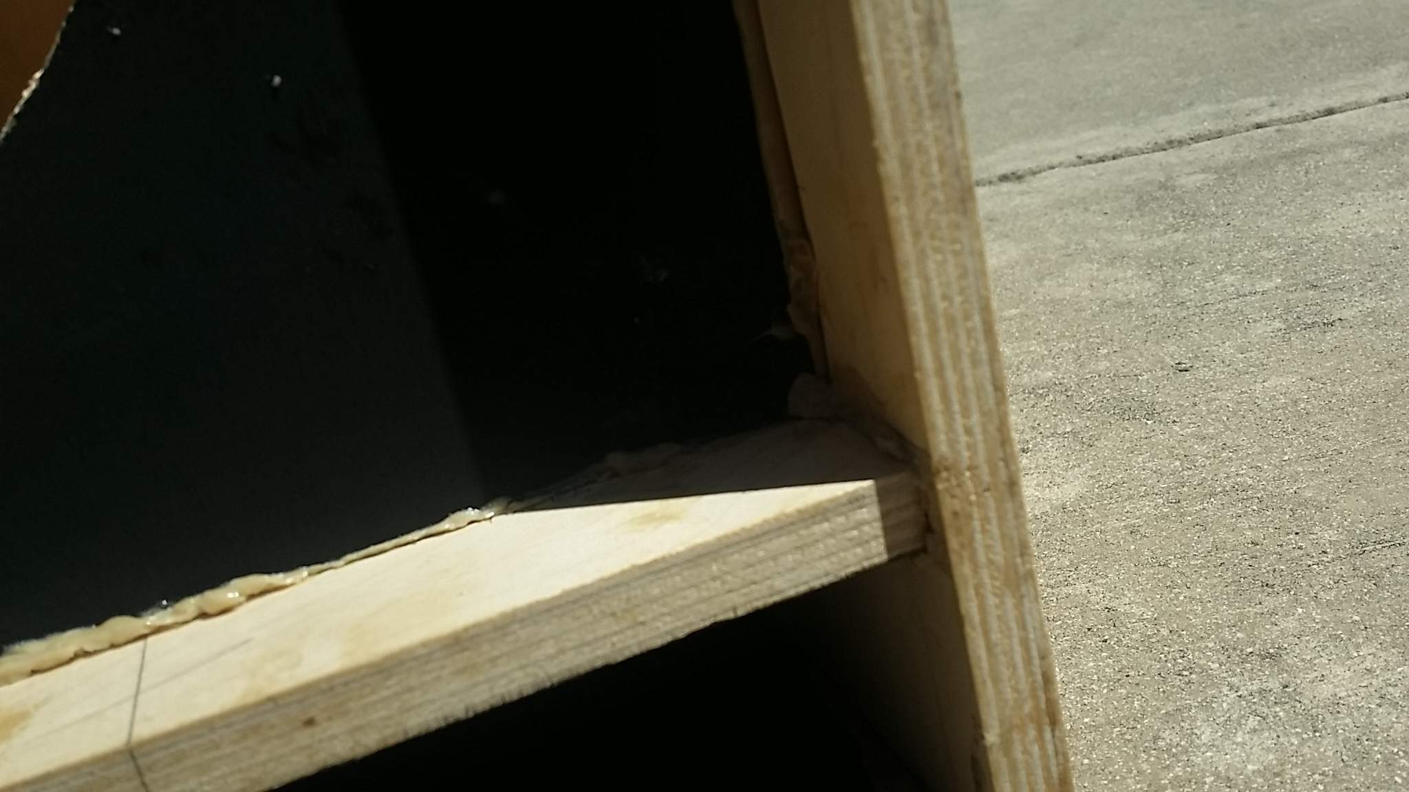 20200614_111405.jpg