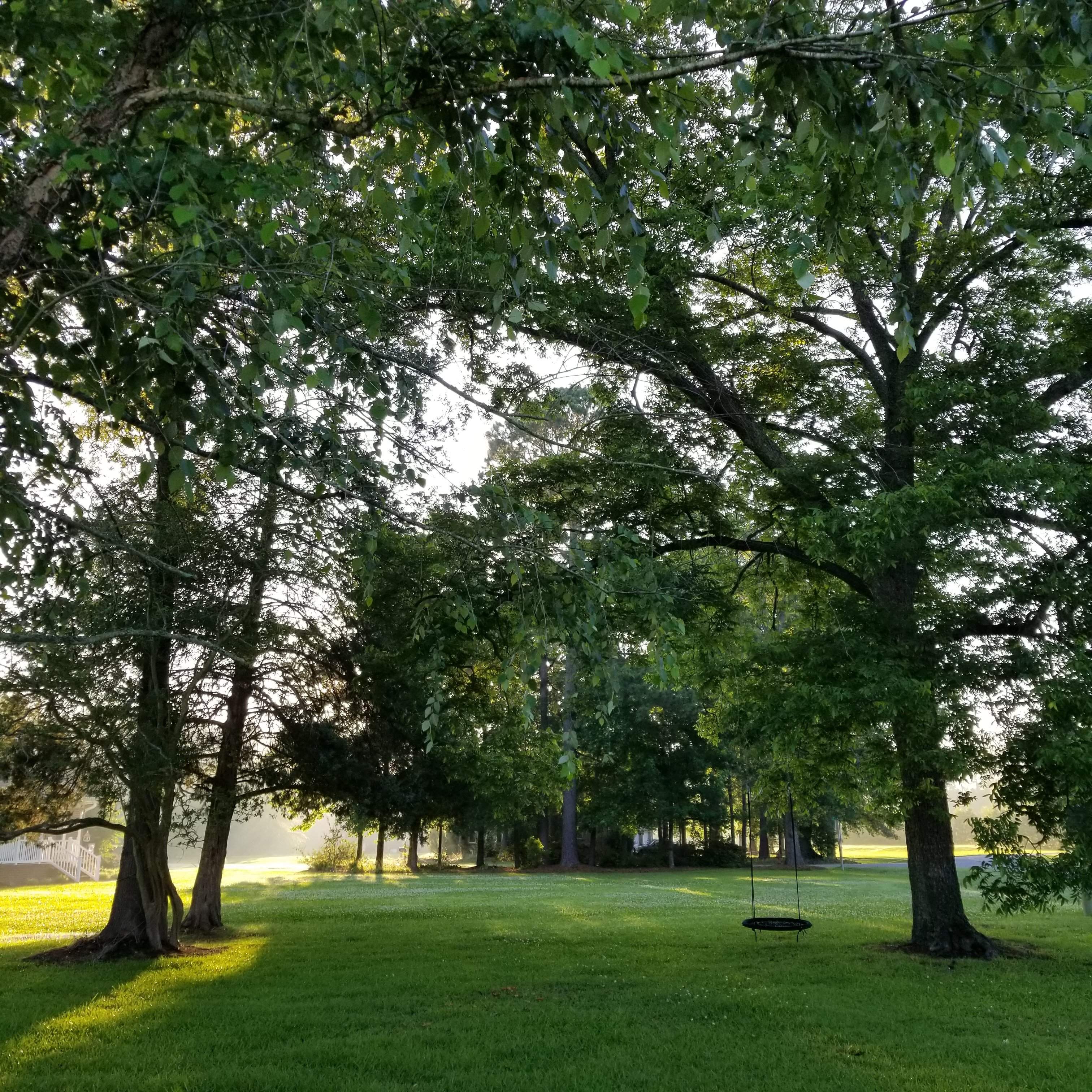 20200618_063919.jpg