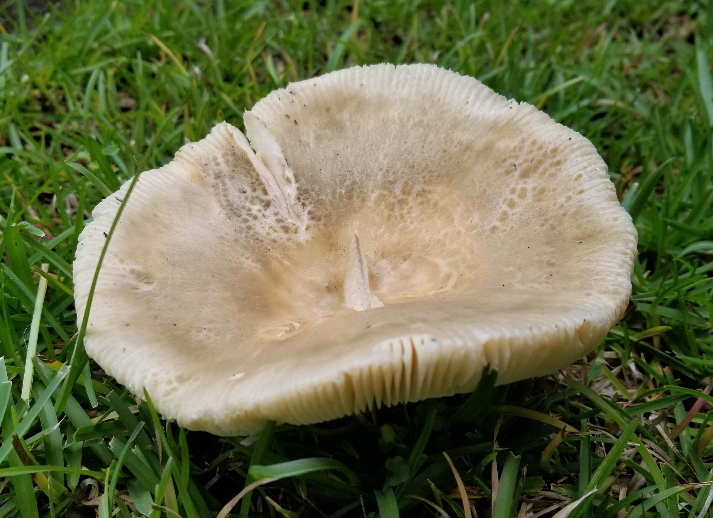 20200618_100659.jpg