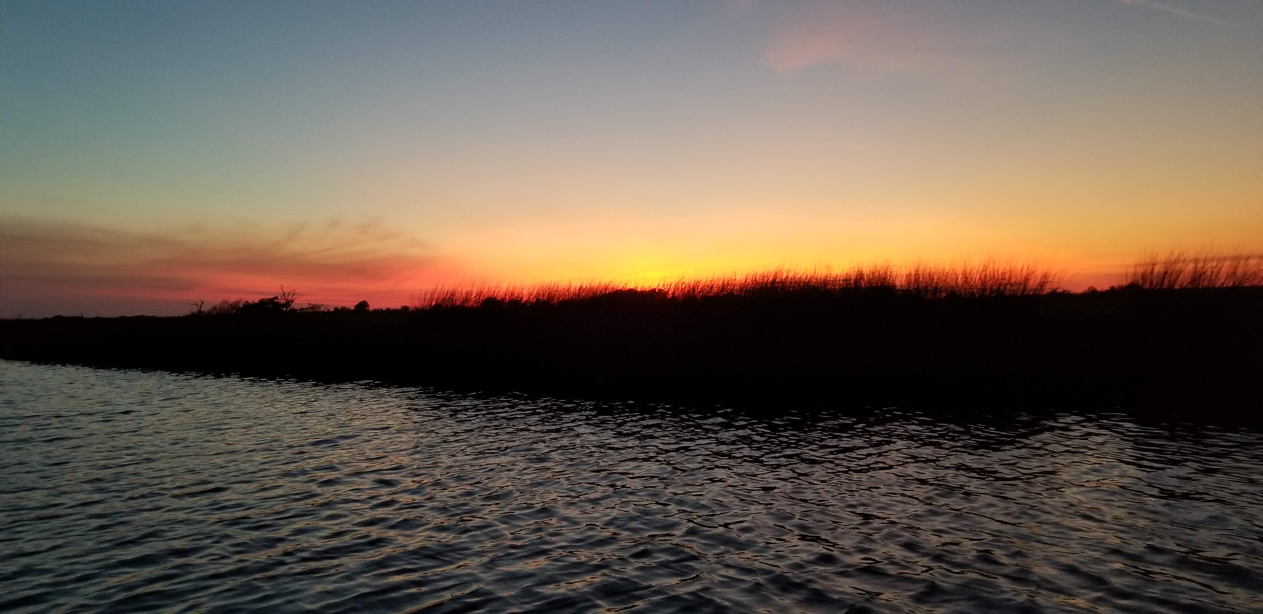 20200626_205317.jpg