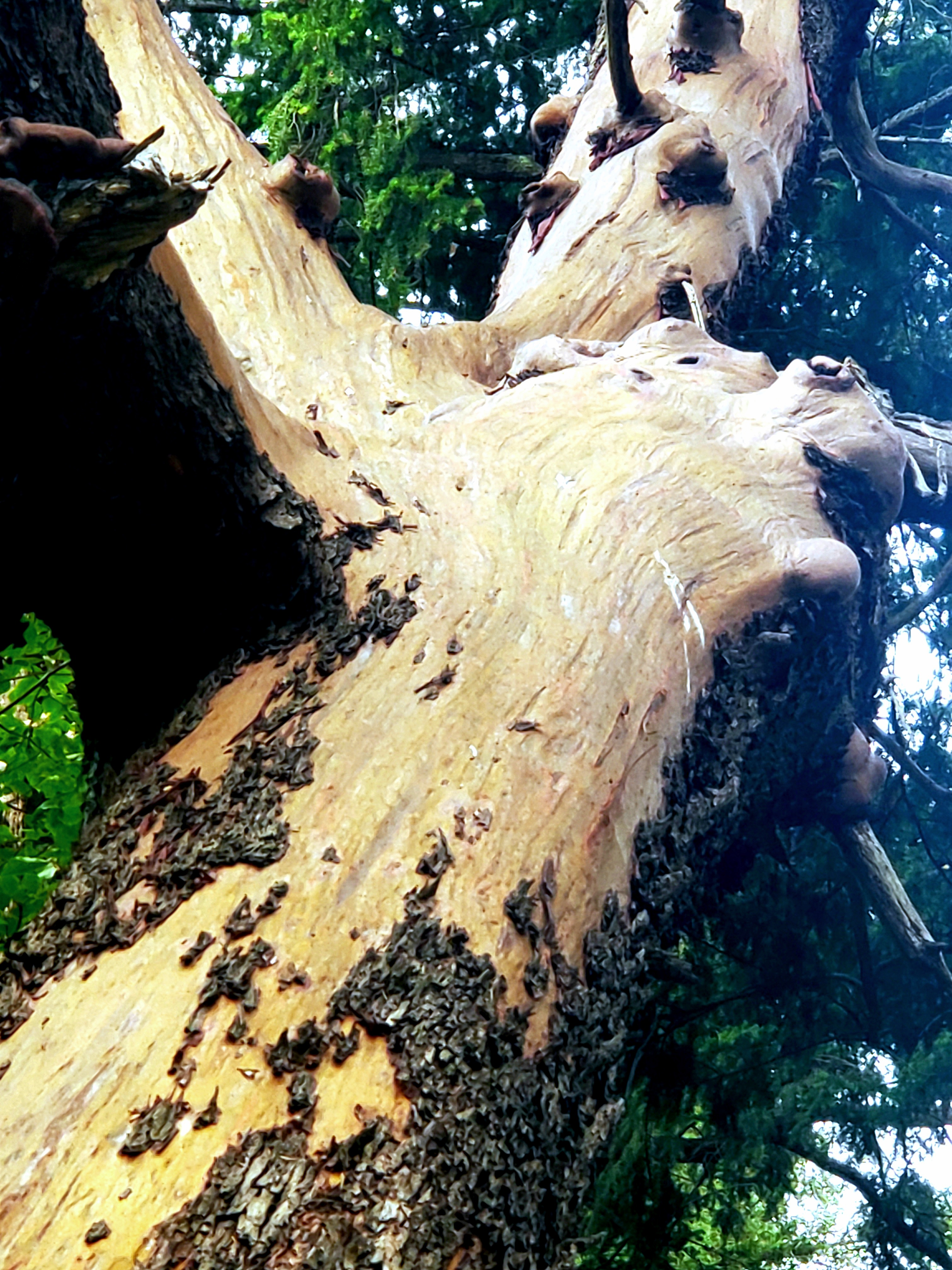 20200704_083030.jpg