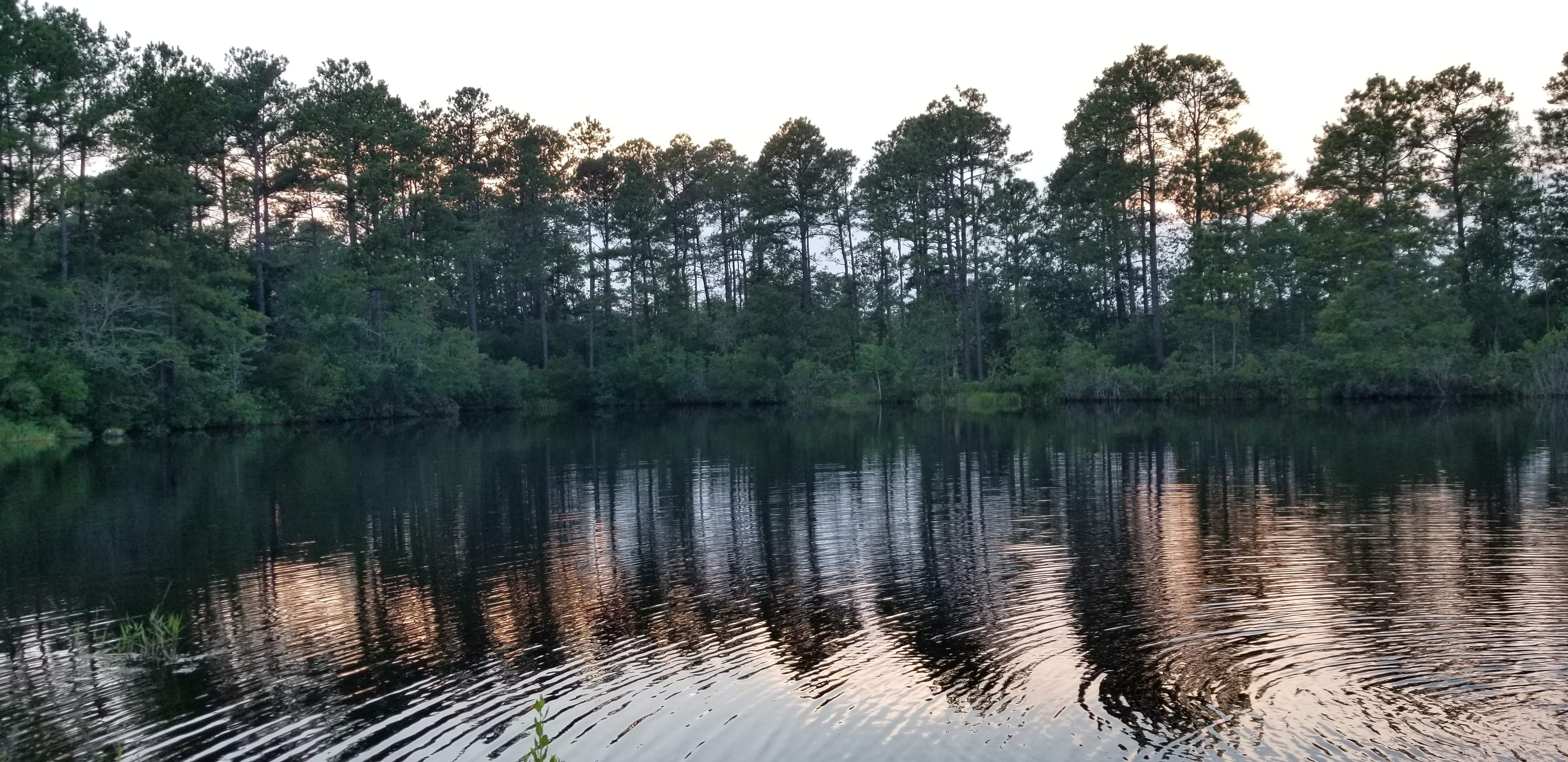 20200704_200439.jpg