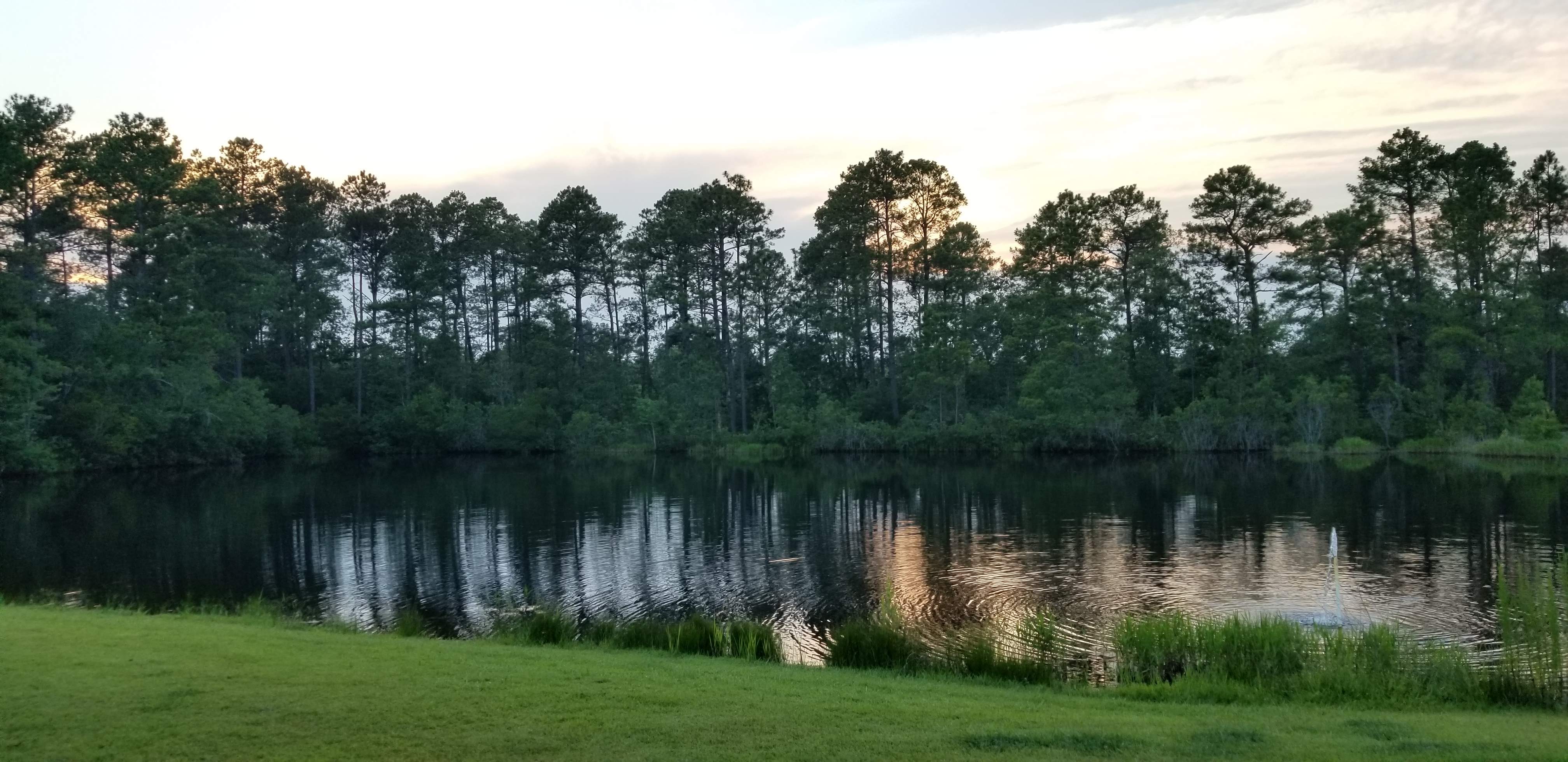 20200704_200715.jpg