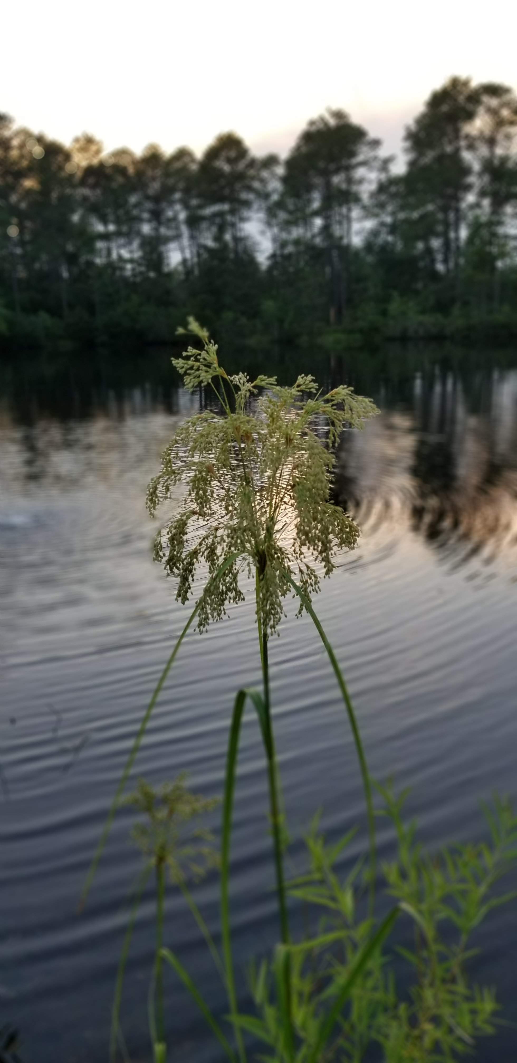 20200704_200744.jpg