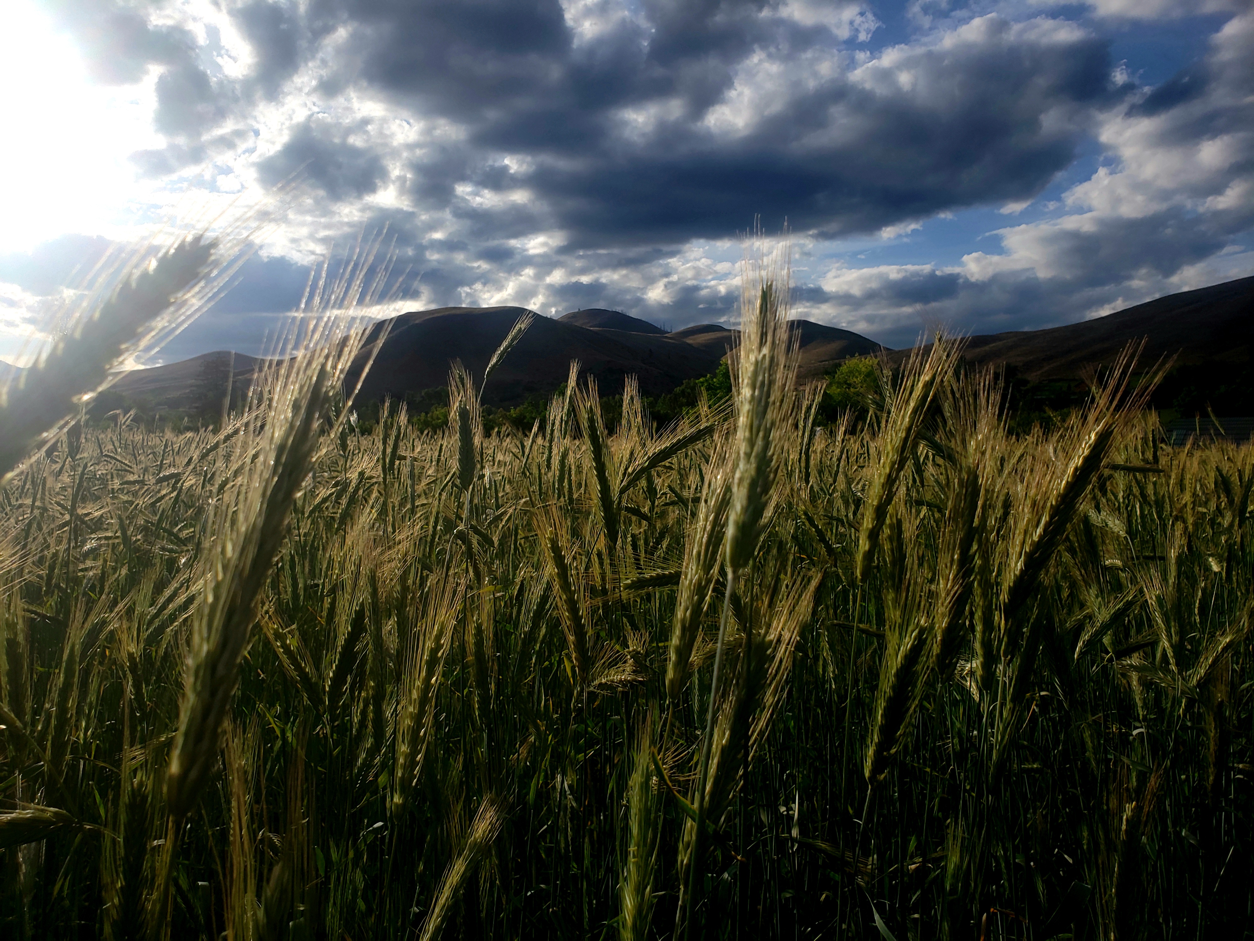 20200708_200024.jpg