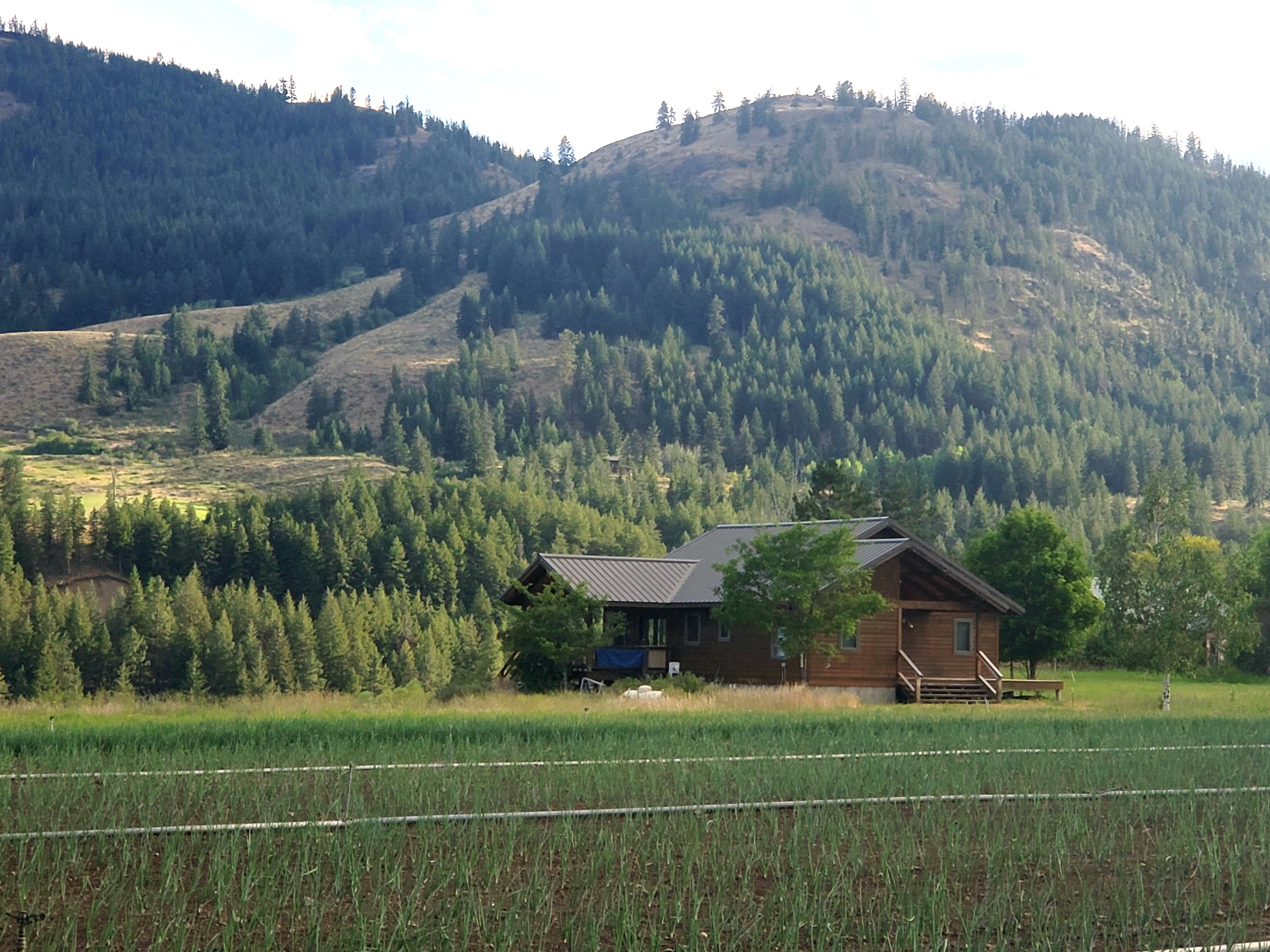 20200708_200243.jpg