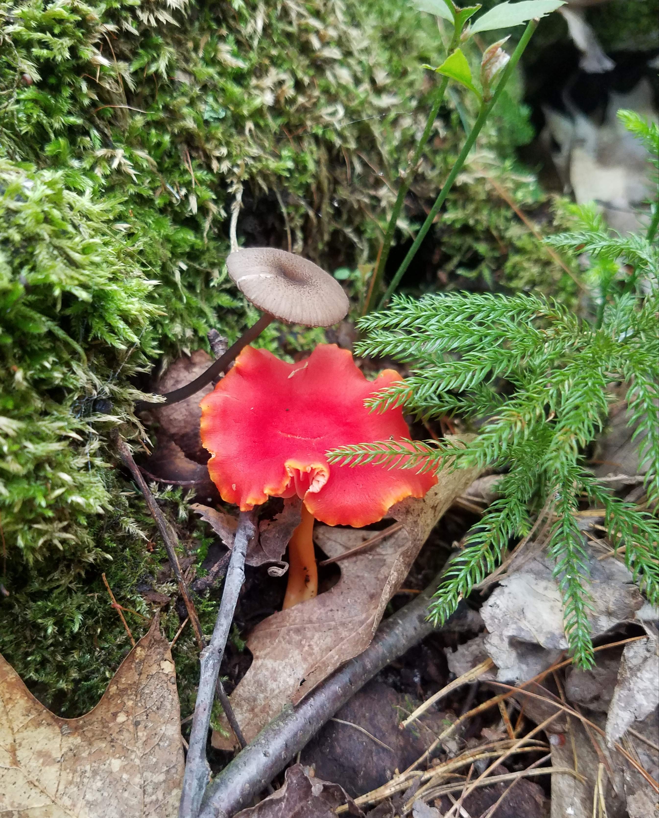 20200801_213949.jpg