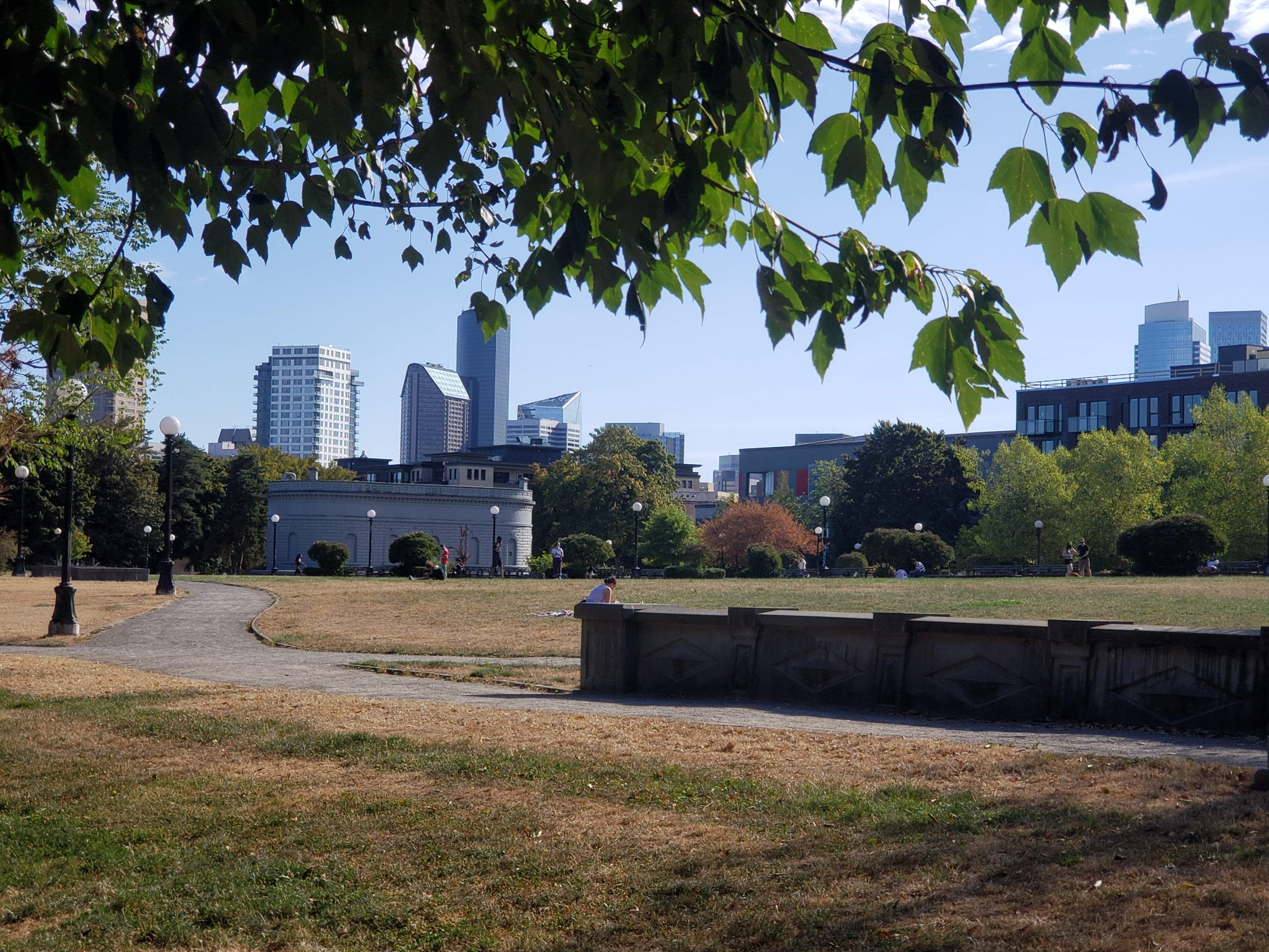 20200802_172635.jpg