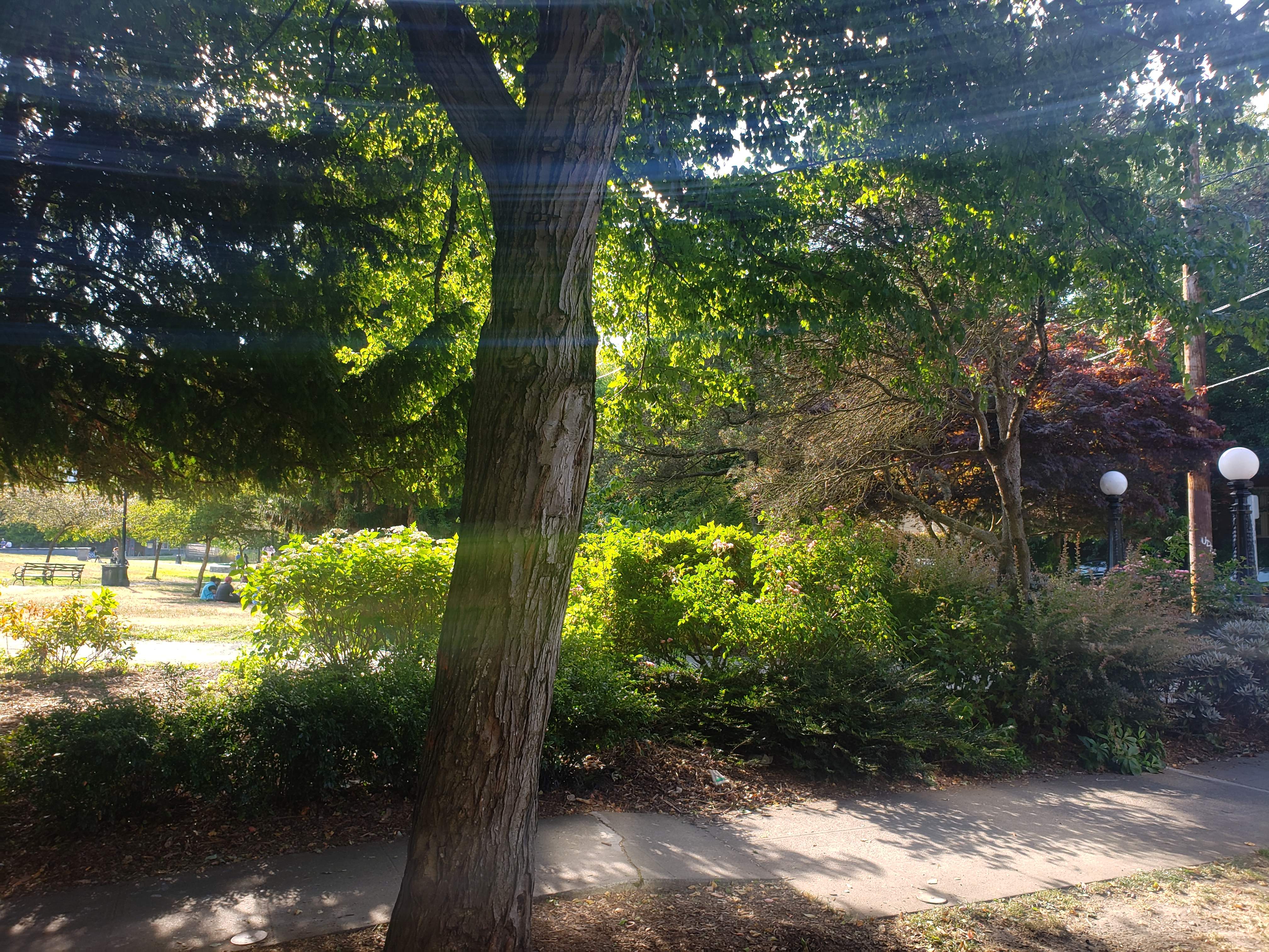 20200802_172755.jpg