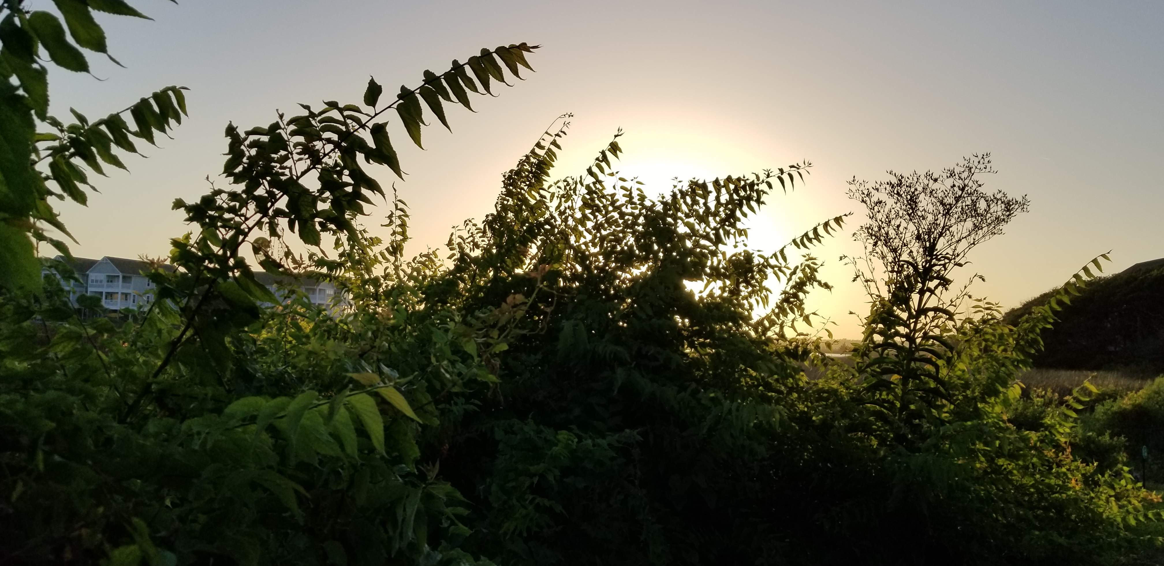 20200802_194553.jpg