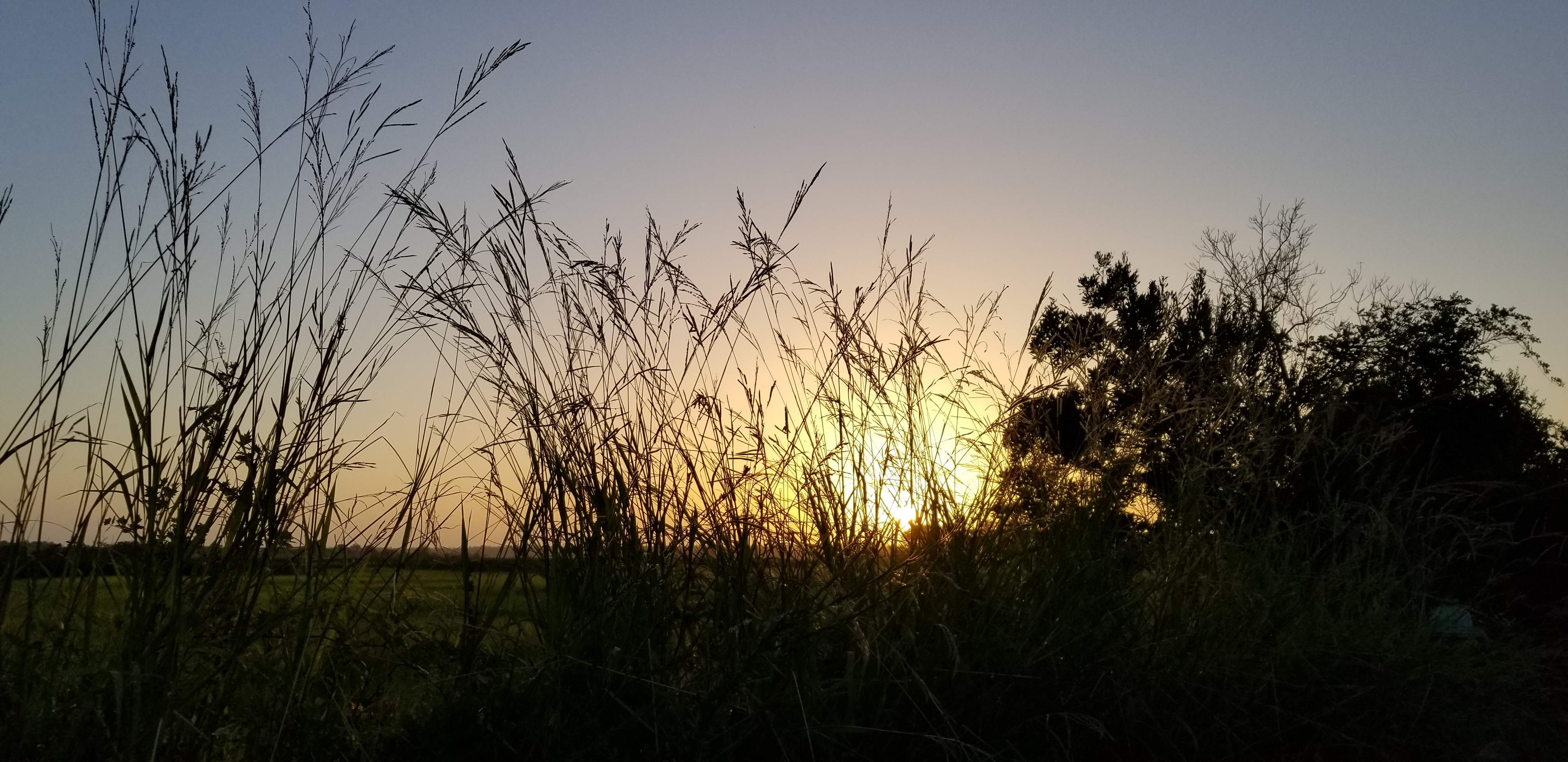 20200802_195636.jpg