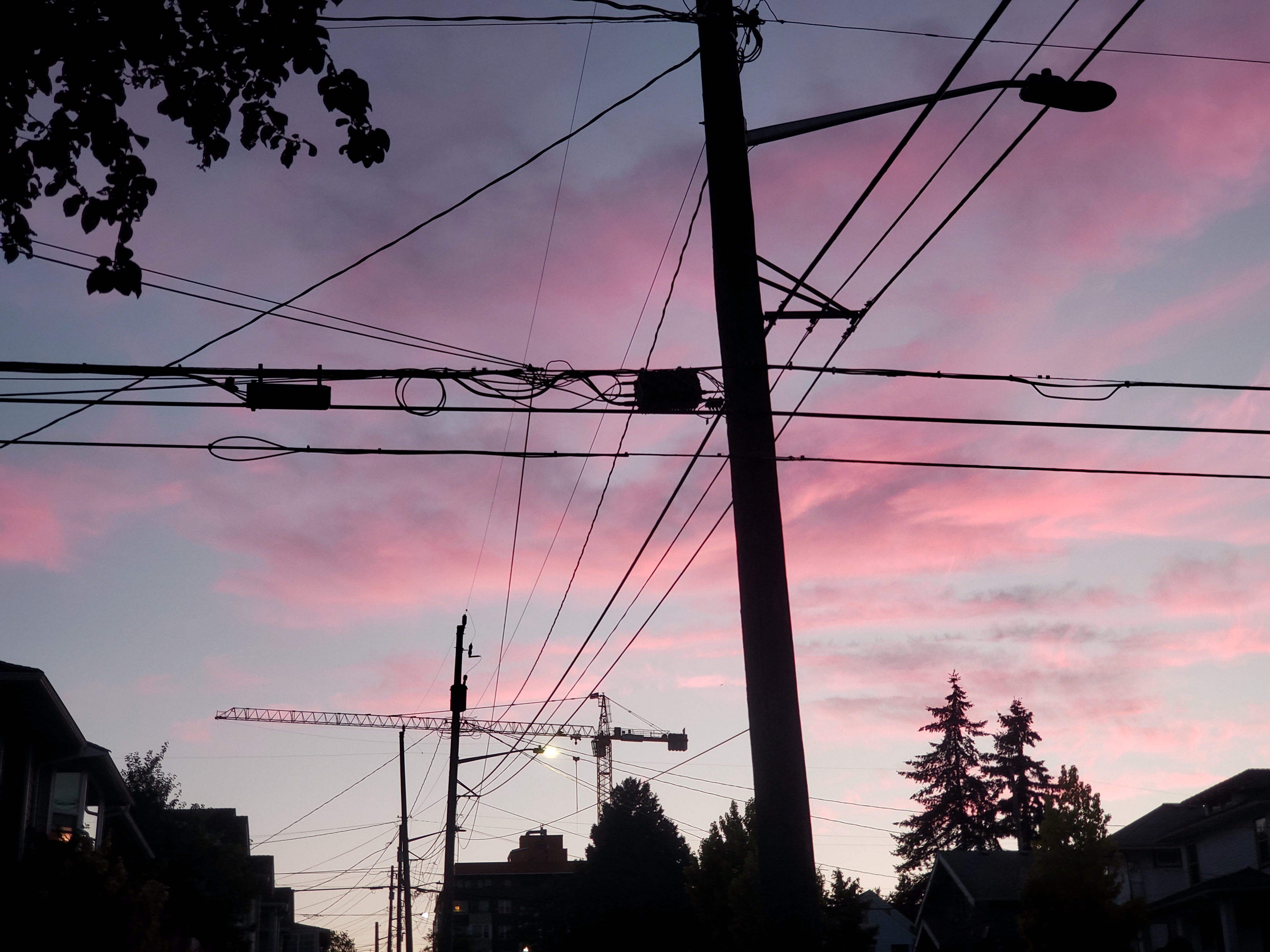 20200804_050013.jpg