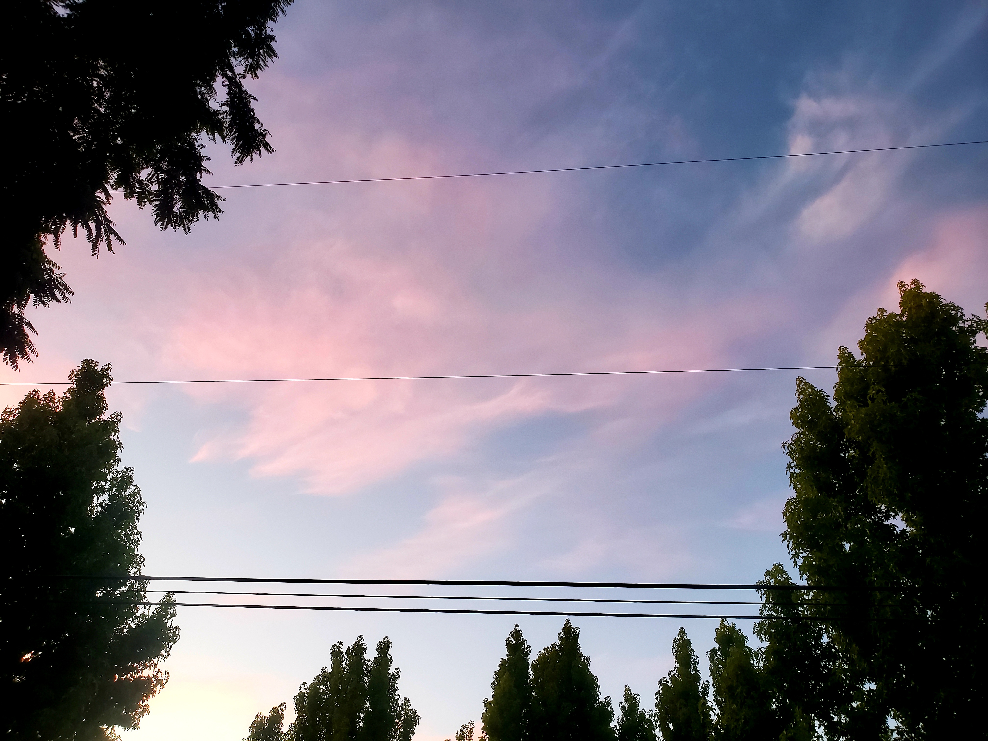 20200804_050057.jpg