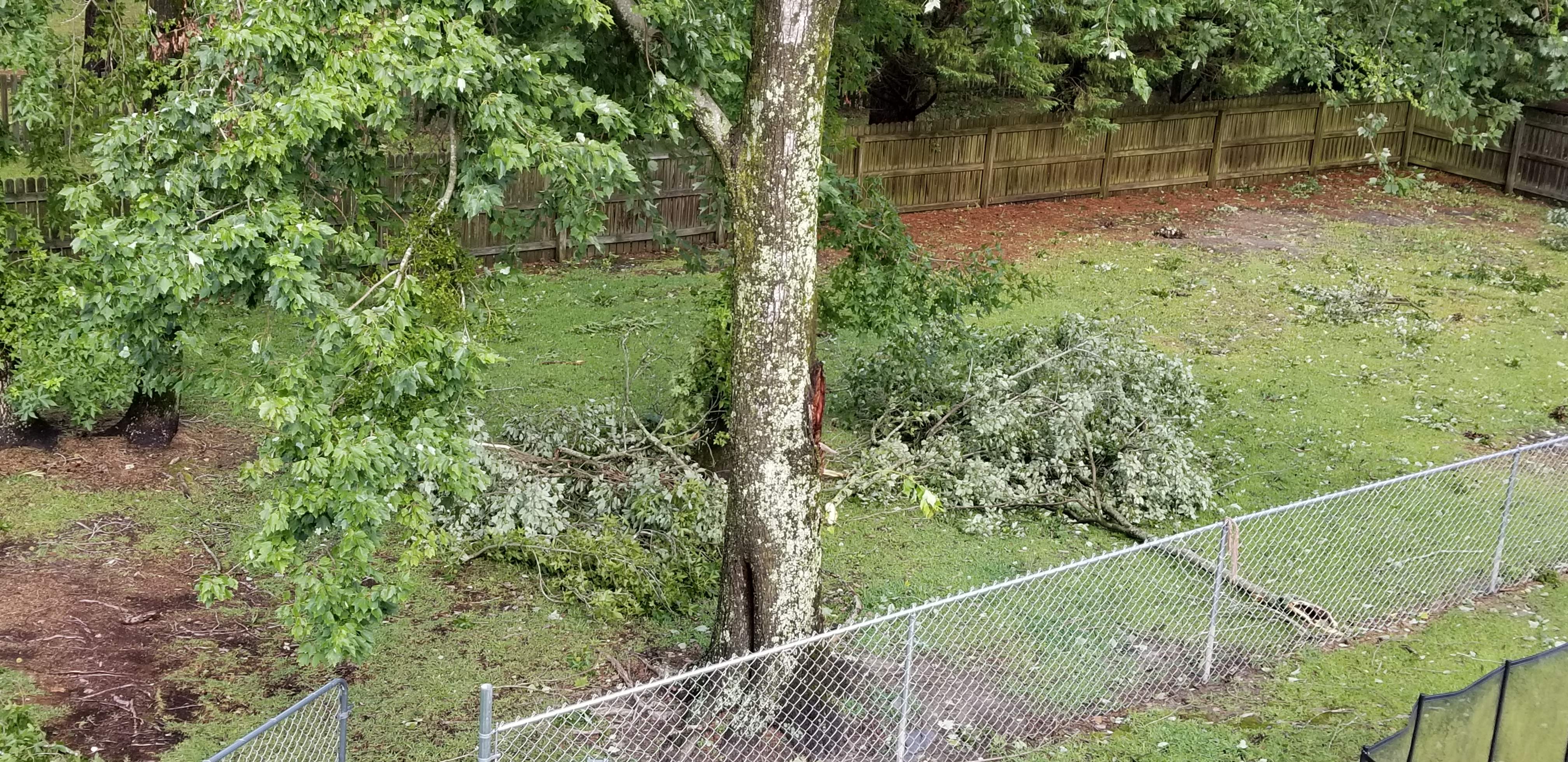 20200804_091232.jpg