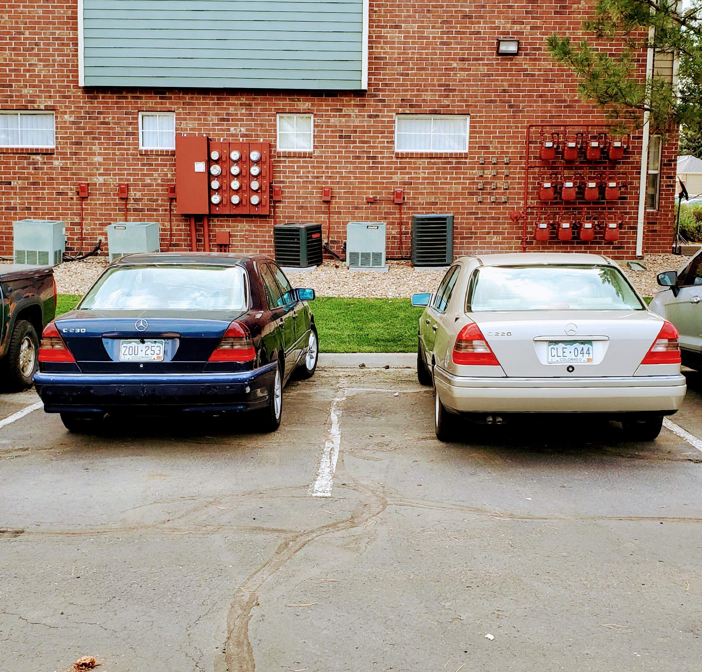 20200805_071237.jpg