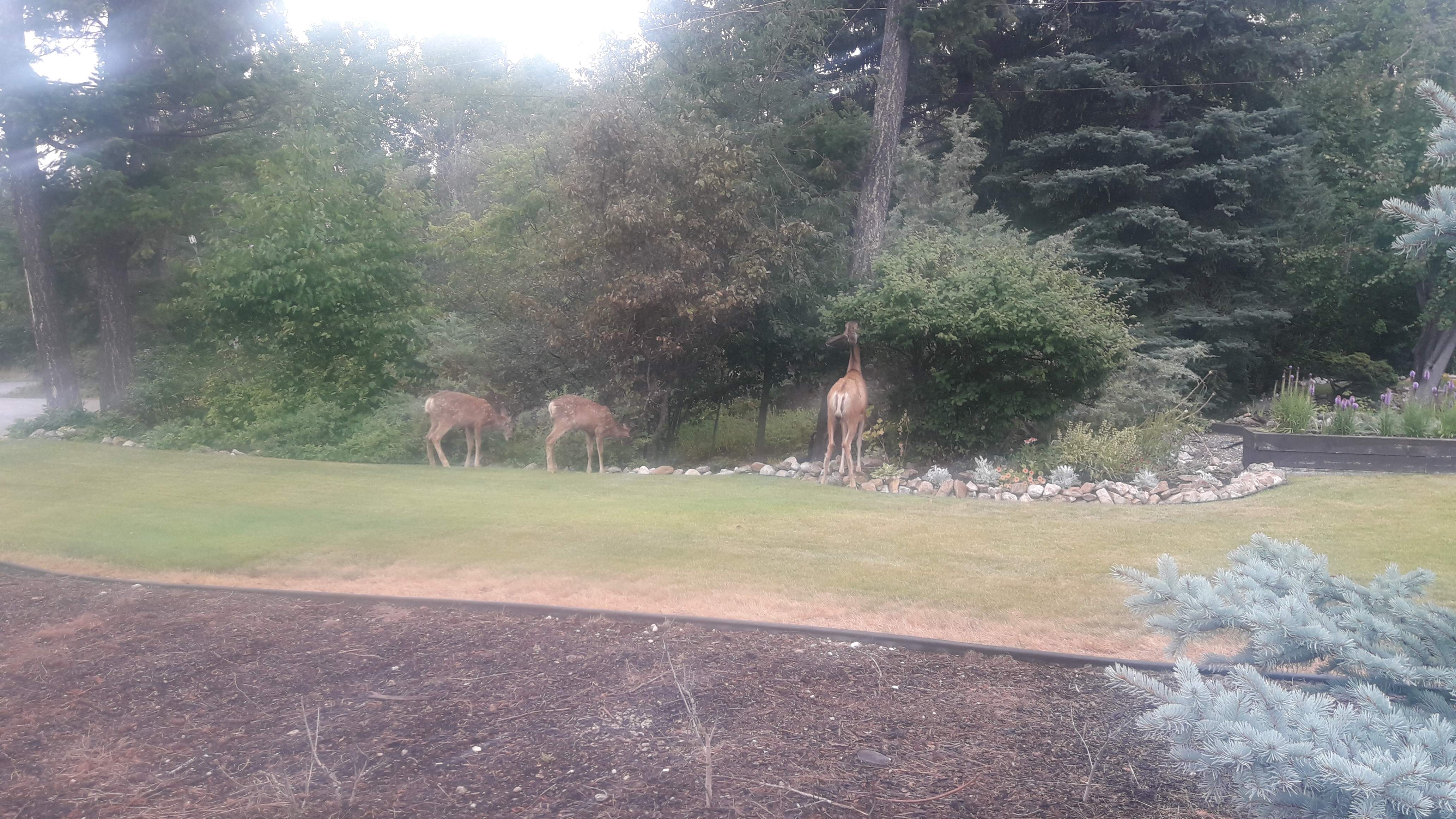 20200806_171639.jpg