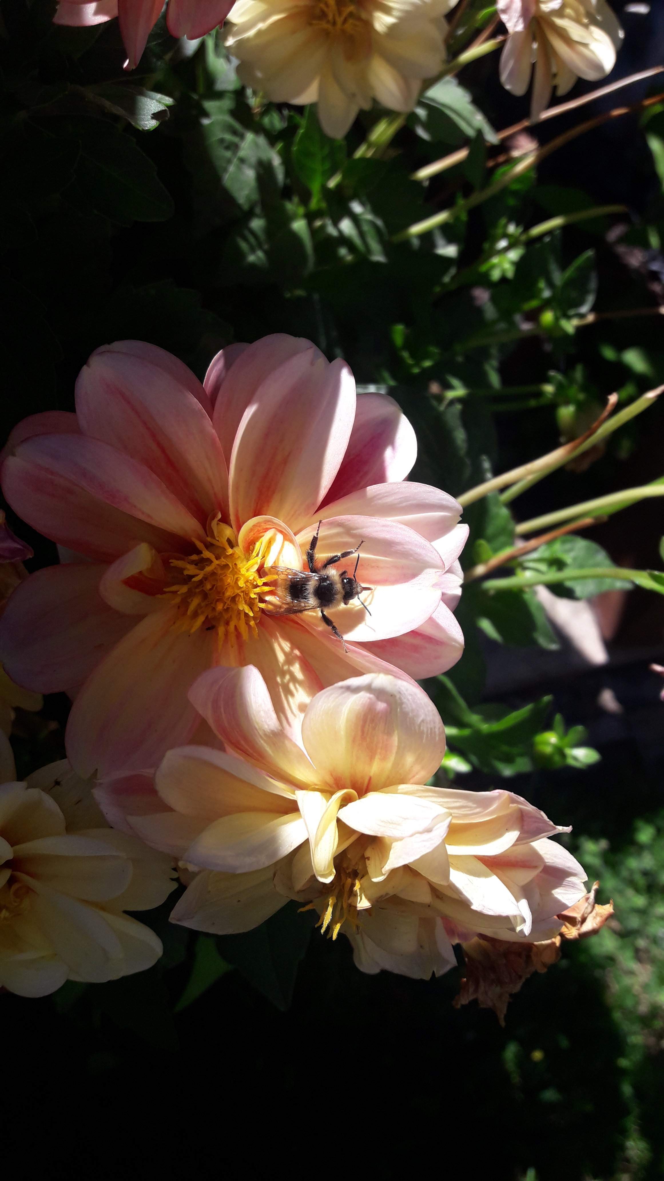 20200809_115808.jpg