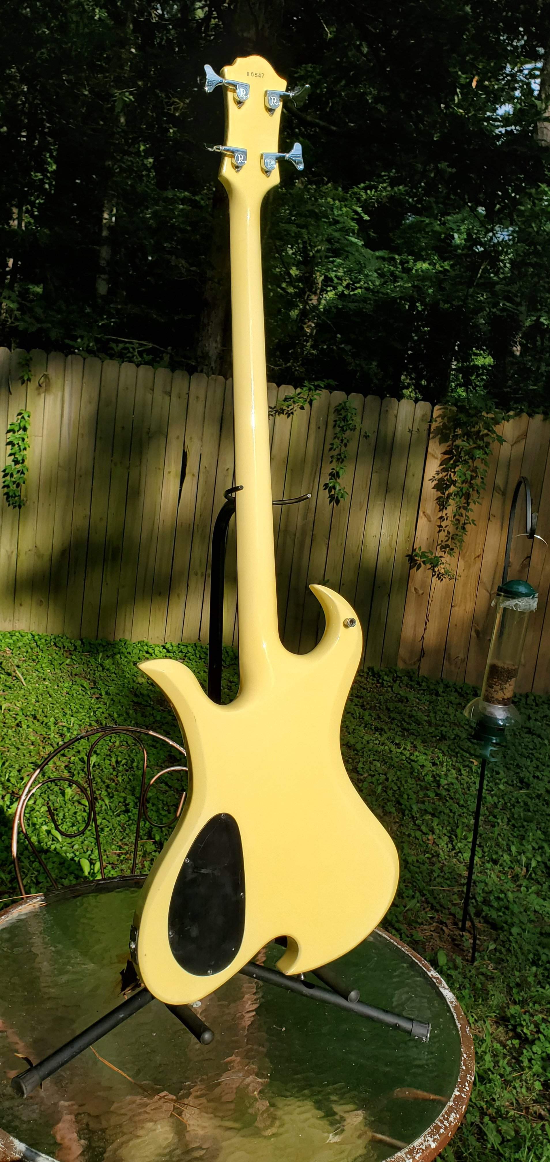 20200809_175637.jpg