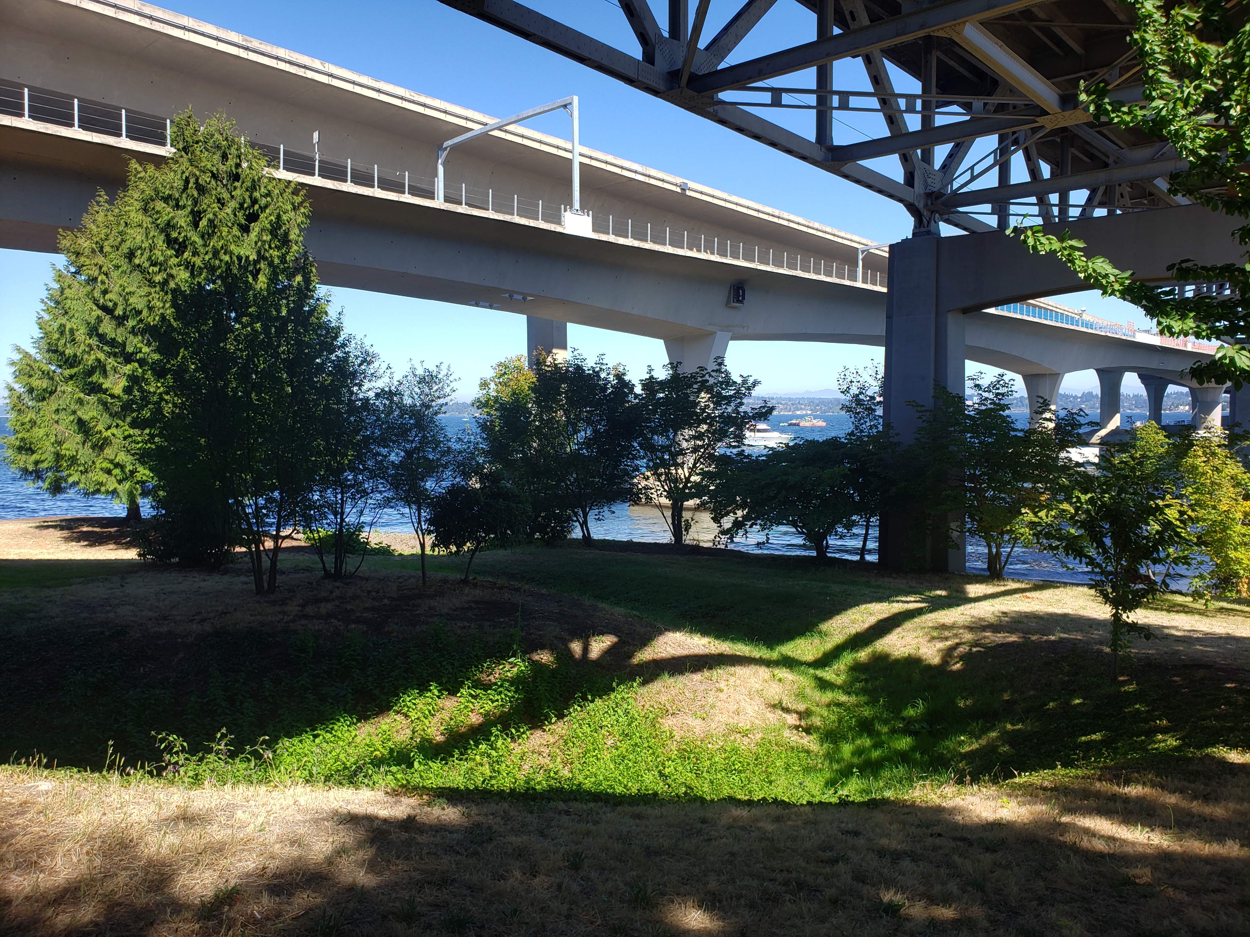 20200815_143007.jpg
