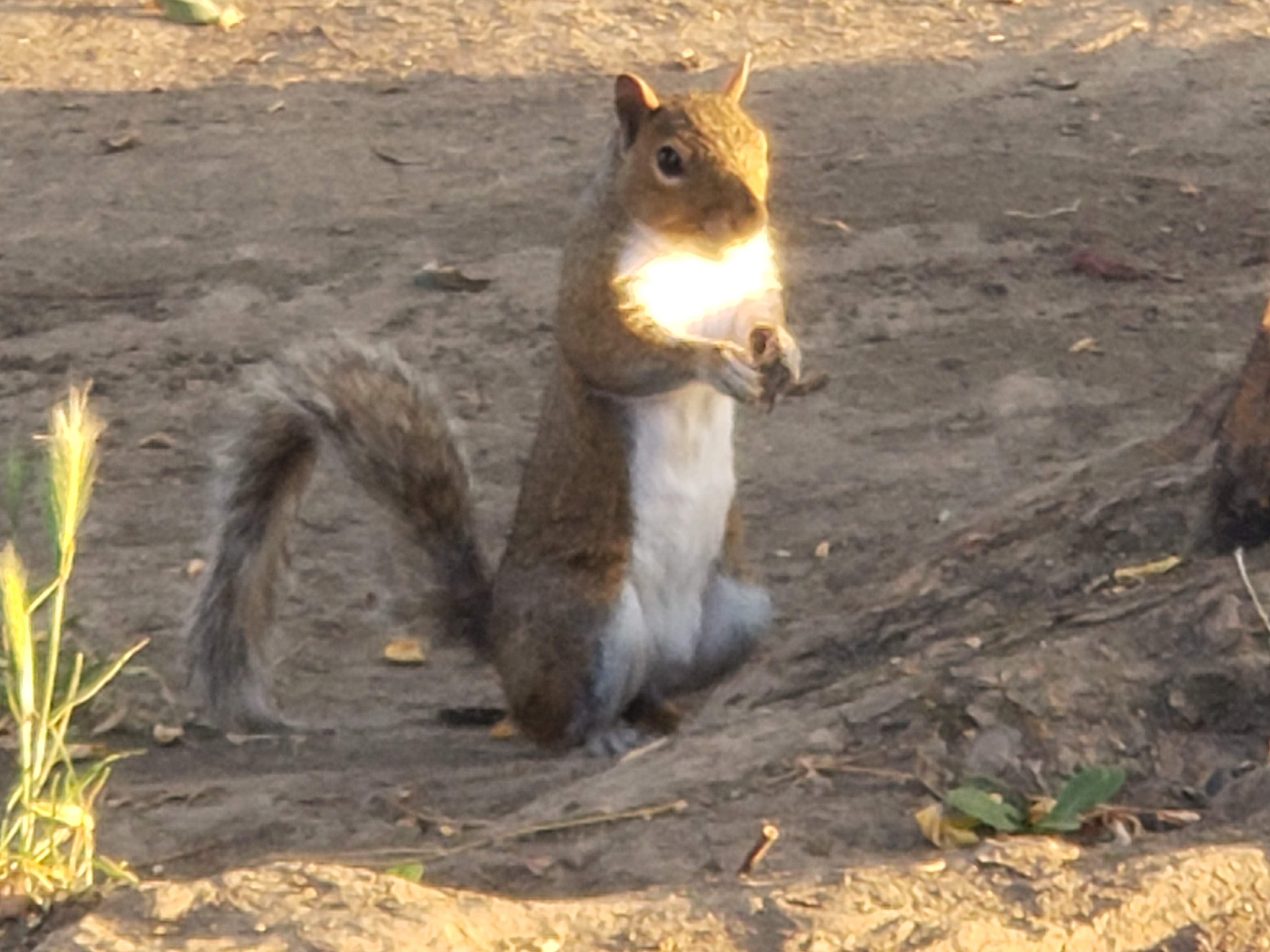 20200817_064345.jpg