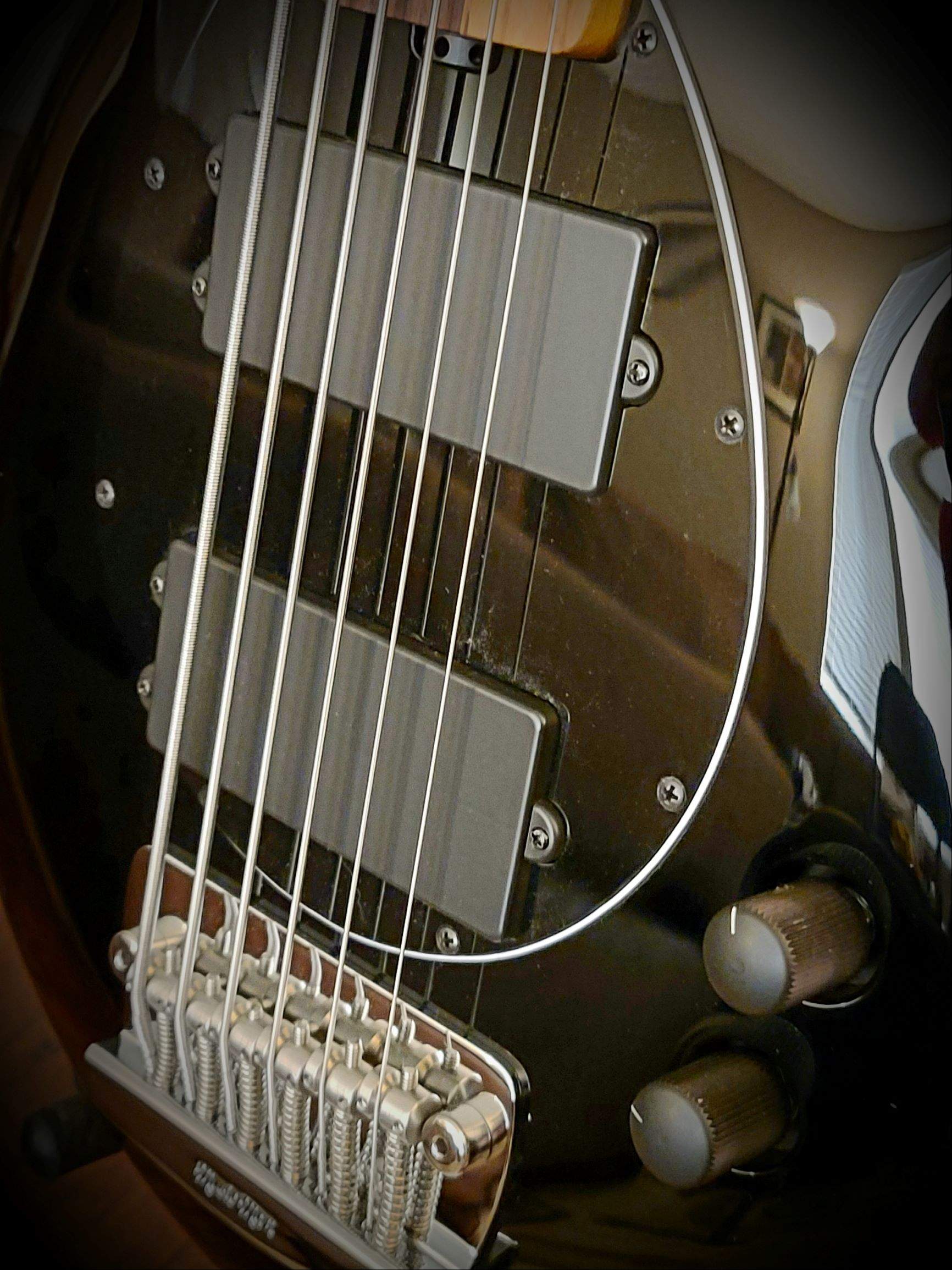 20200819_195105.jpg