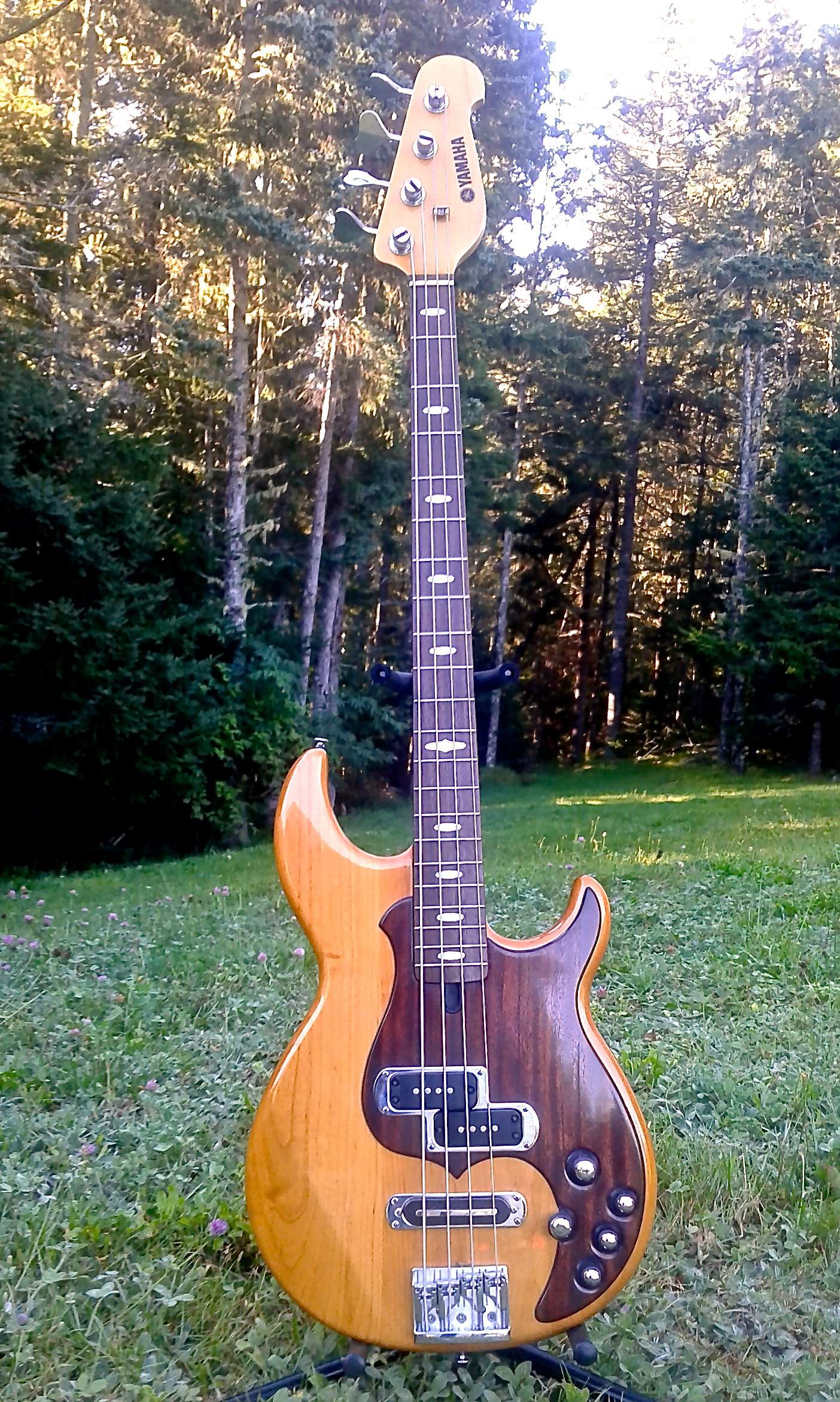 20200820_080739.jpg