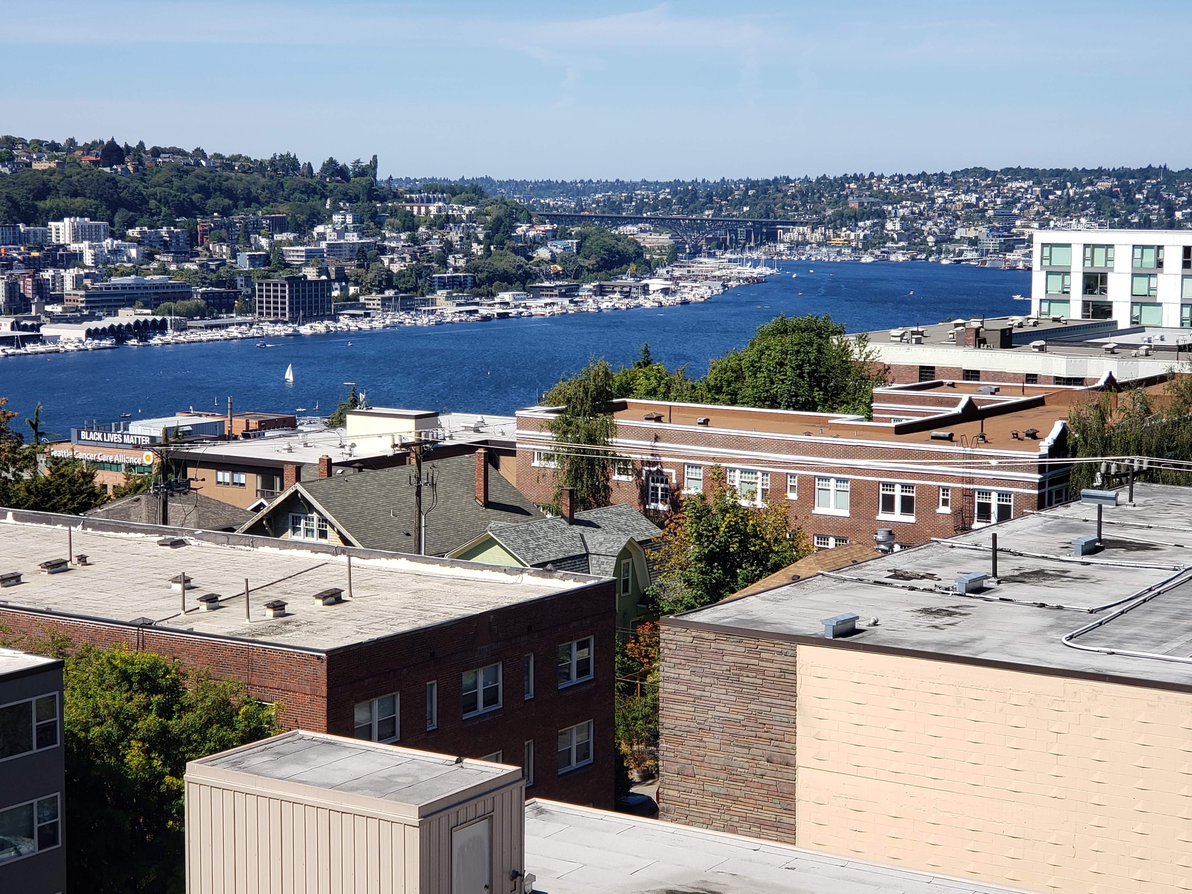 20200826_140033.jpg