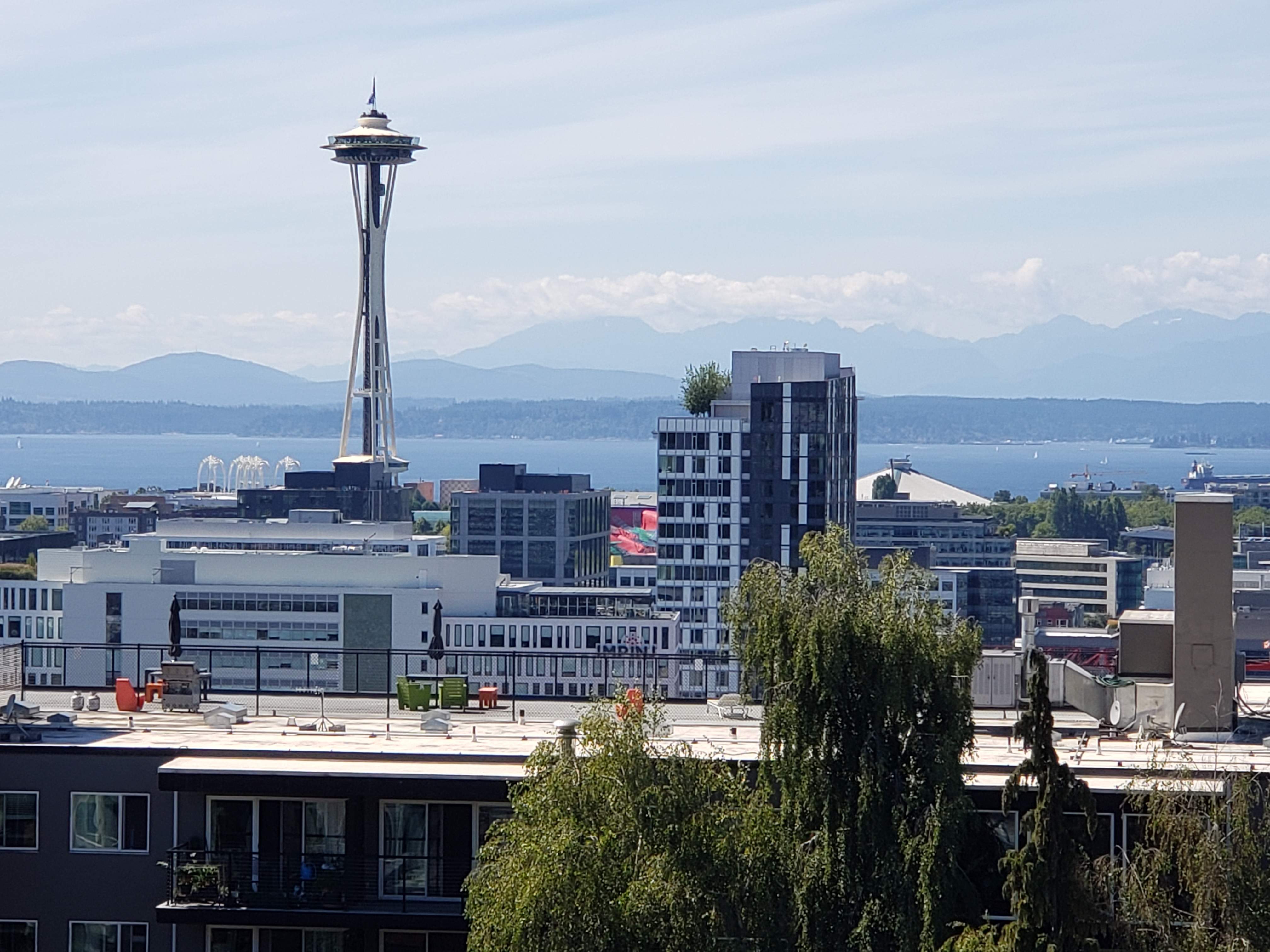 20200826_140055.jpg