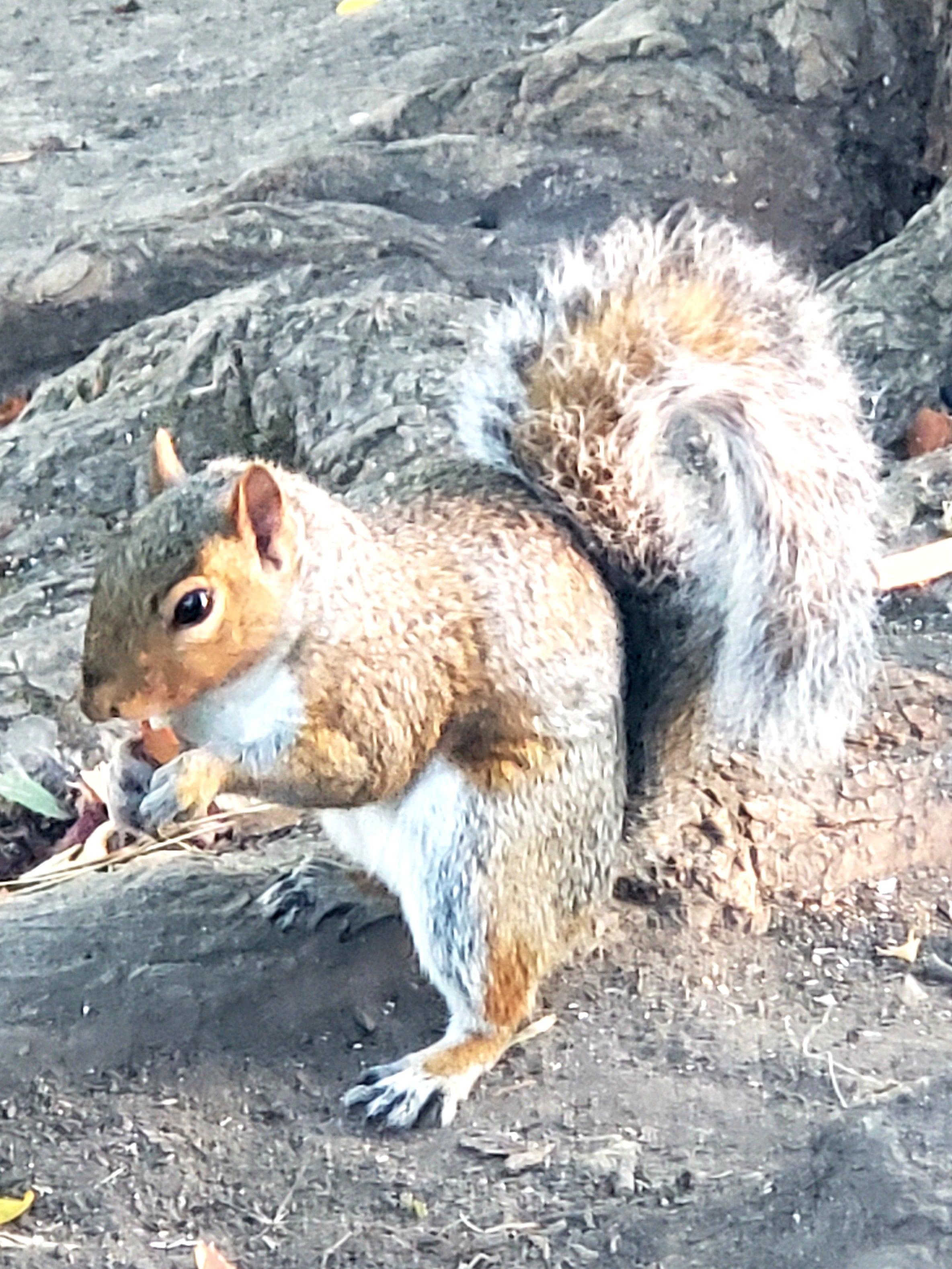 20200902_065535.jpg