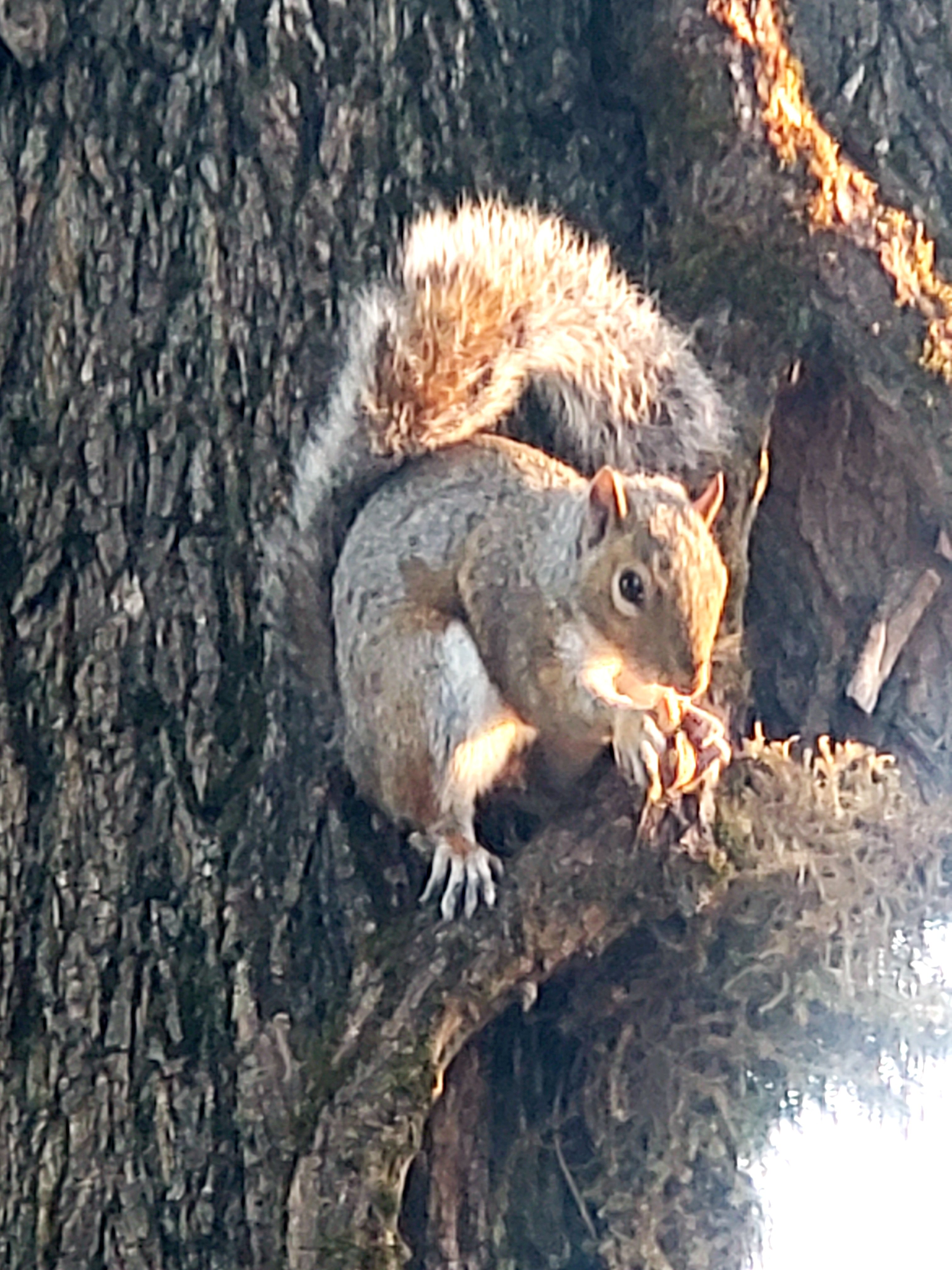20200902_070125.jpg