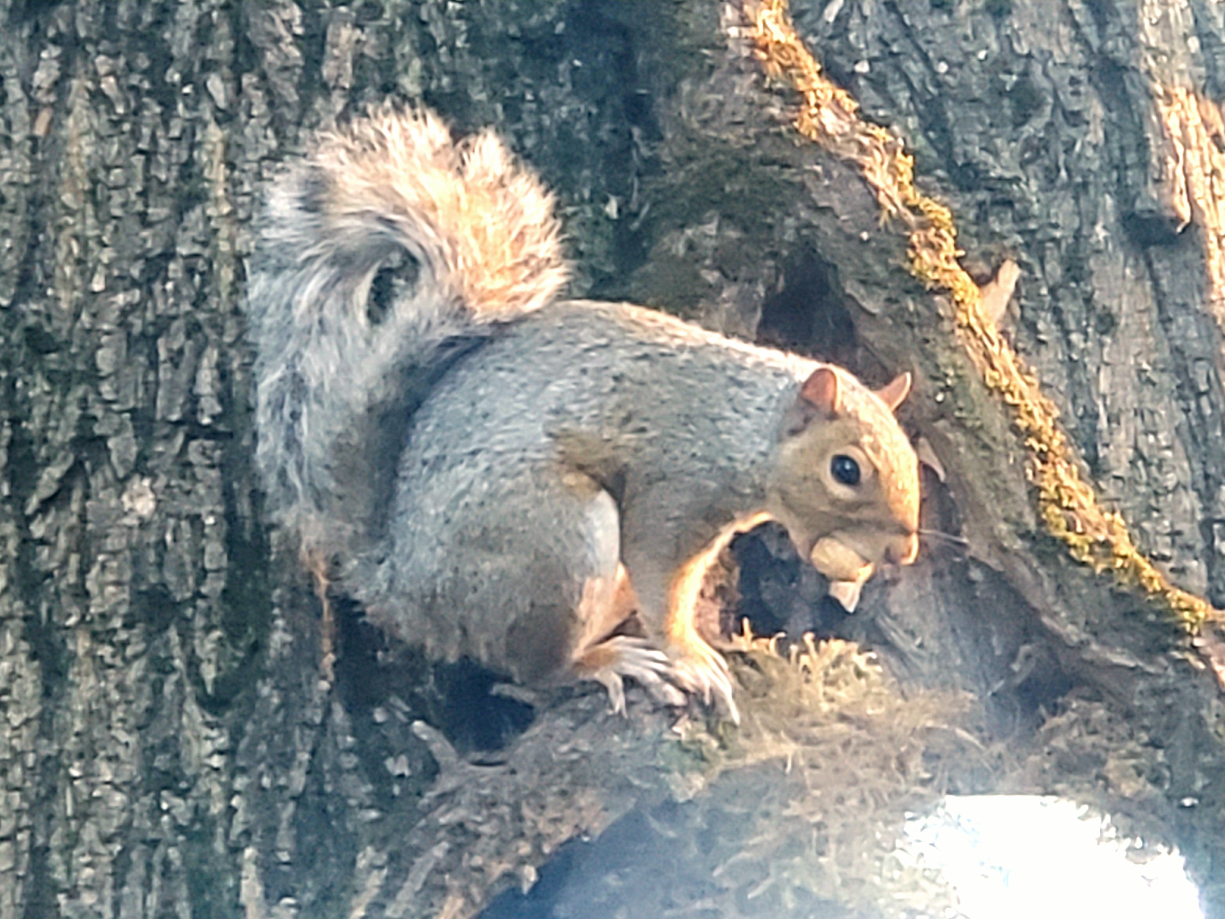 20200902_070617.jpg