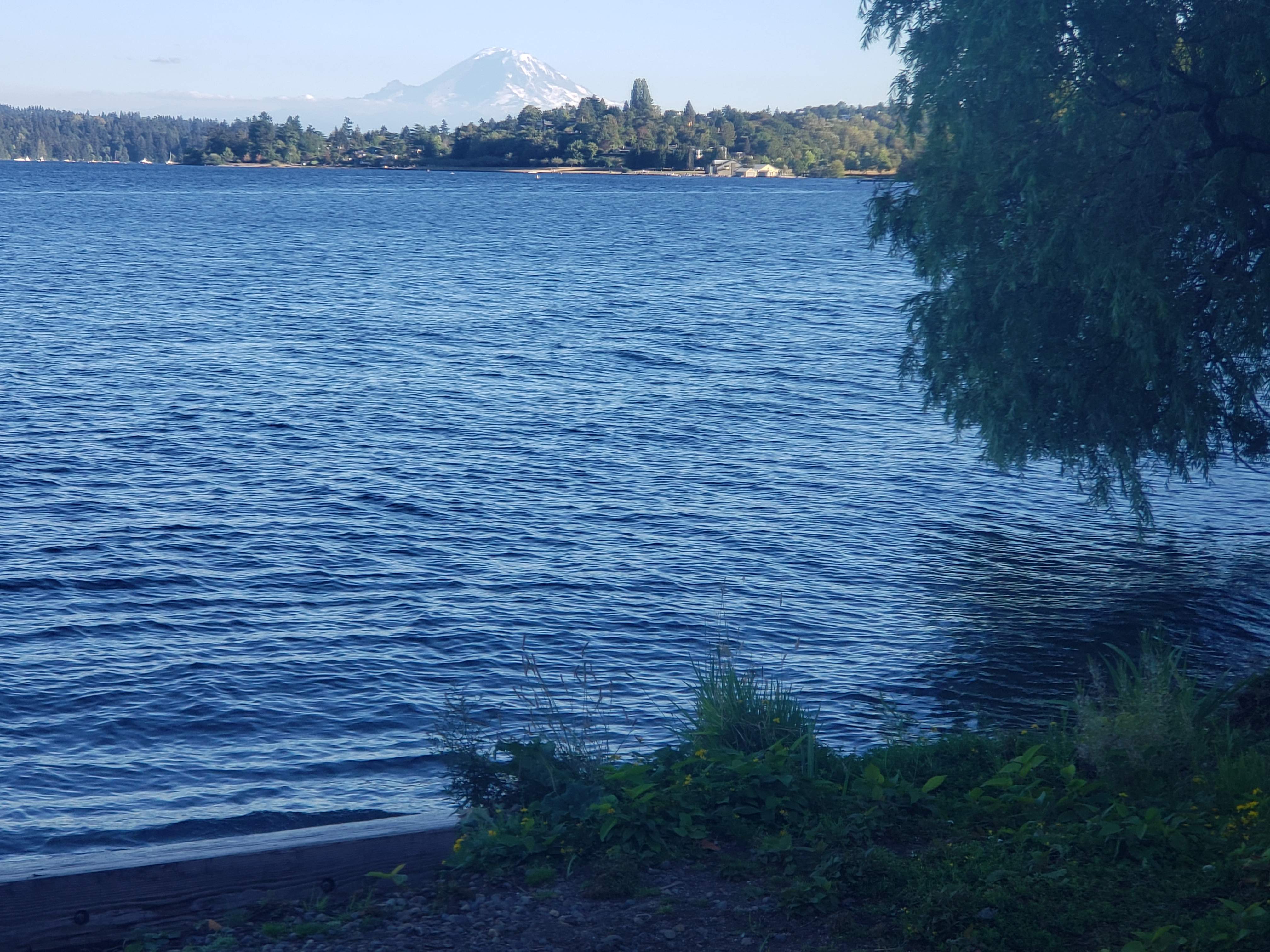 20200902_175510.jpg