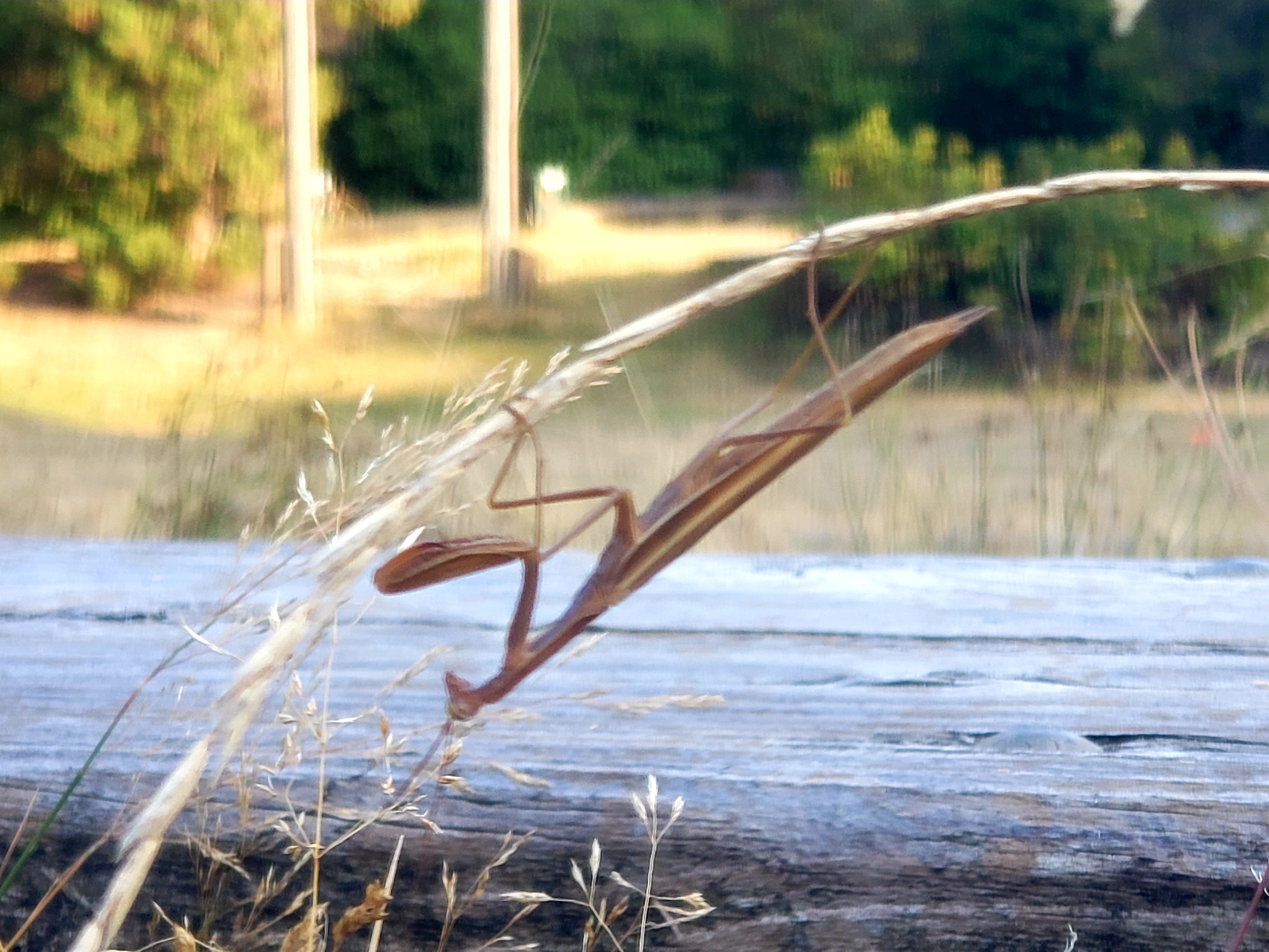 20200905_174154.jpg