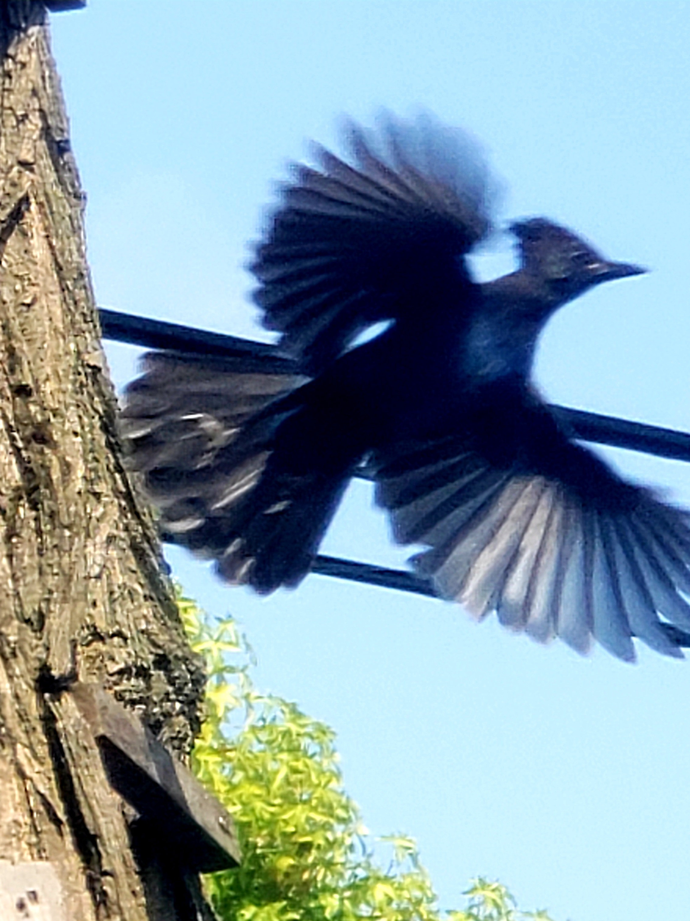 20200905_174333.jpg
