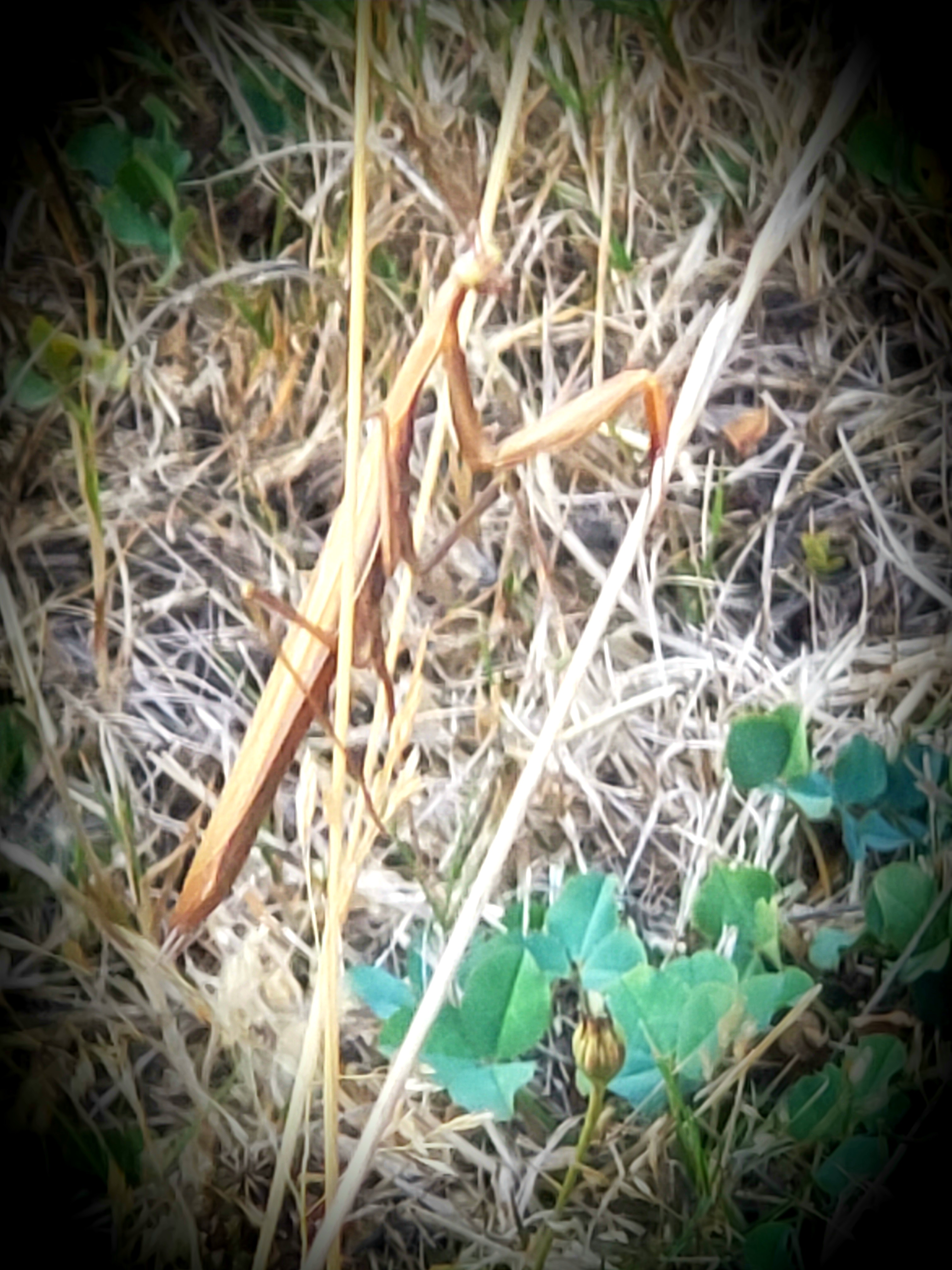 20200906_012106.jpg