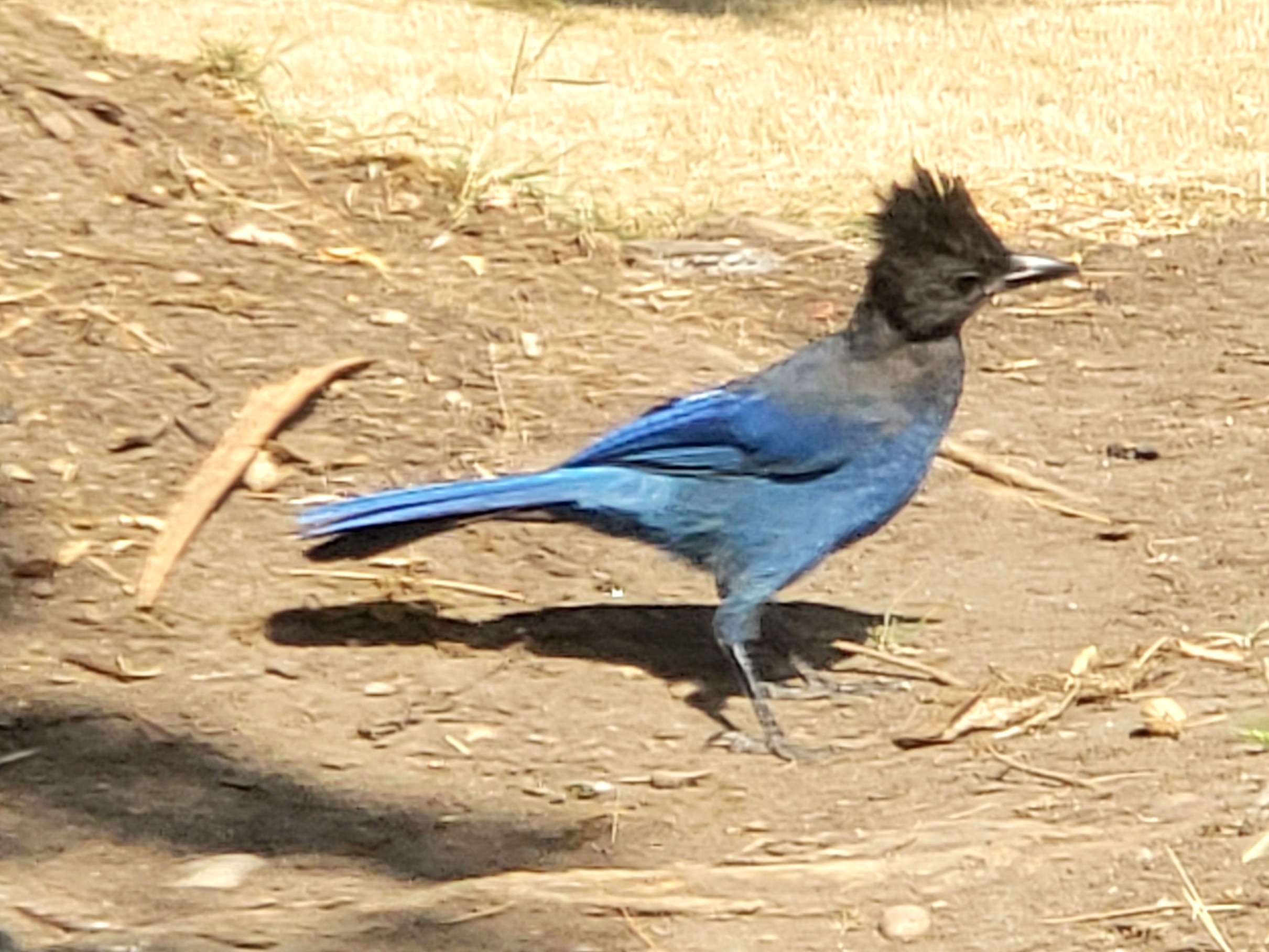 20200906_012319.jpg