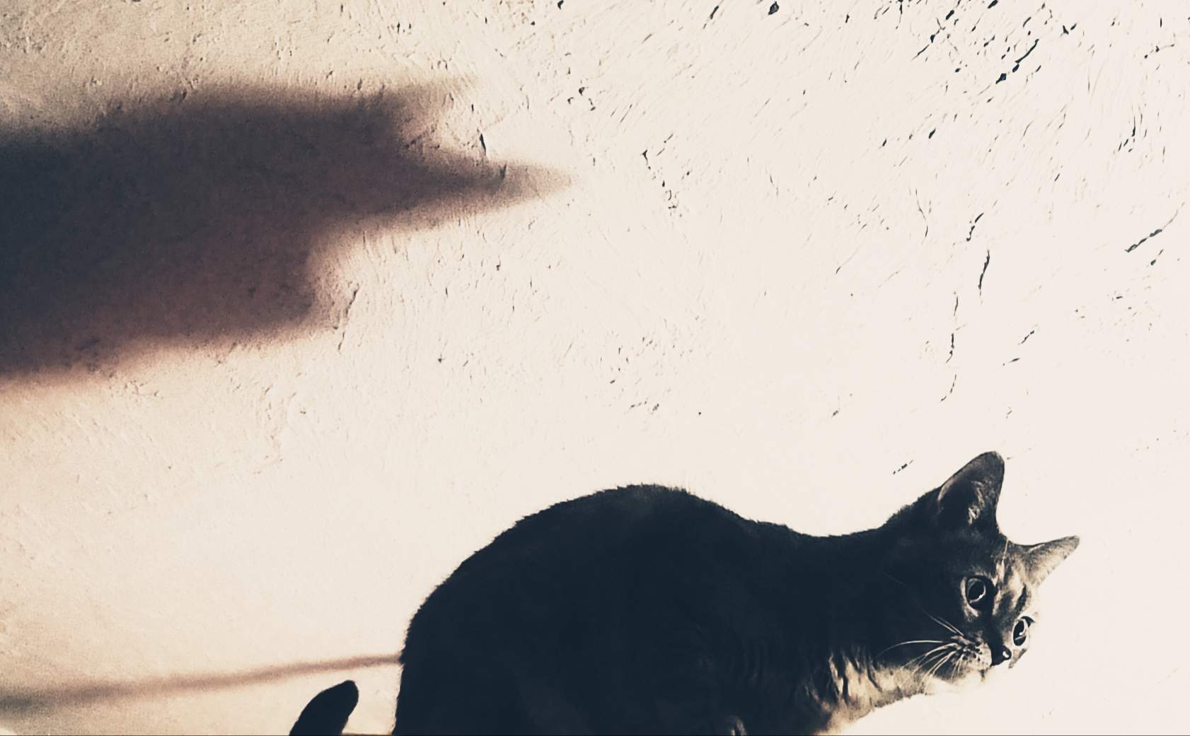 20200908_161755.jpg
