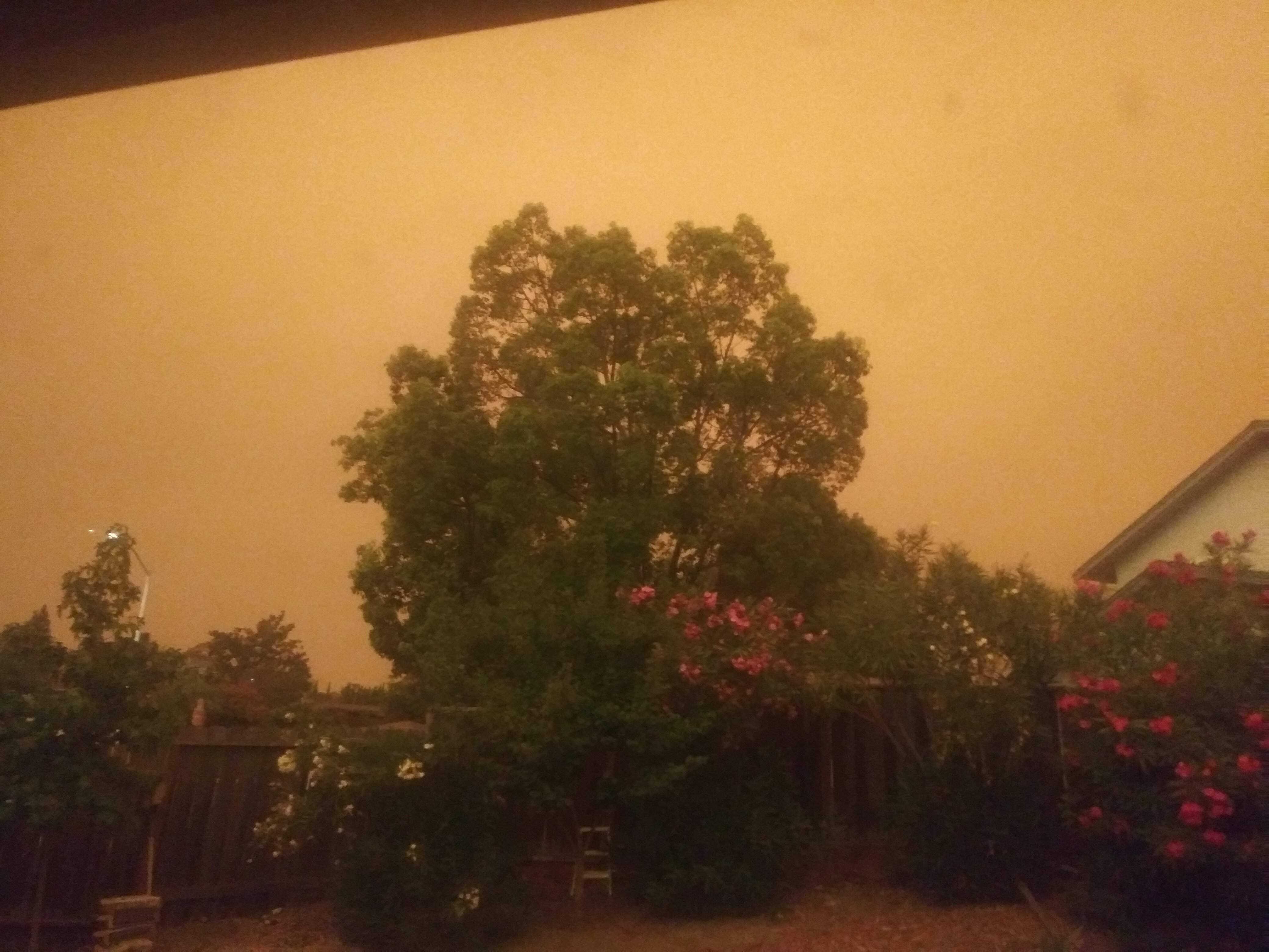 20200909_080955.jpg