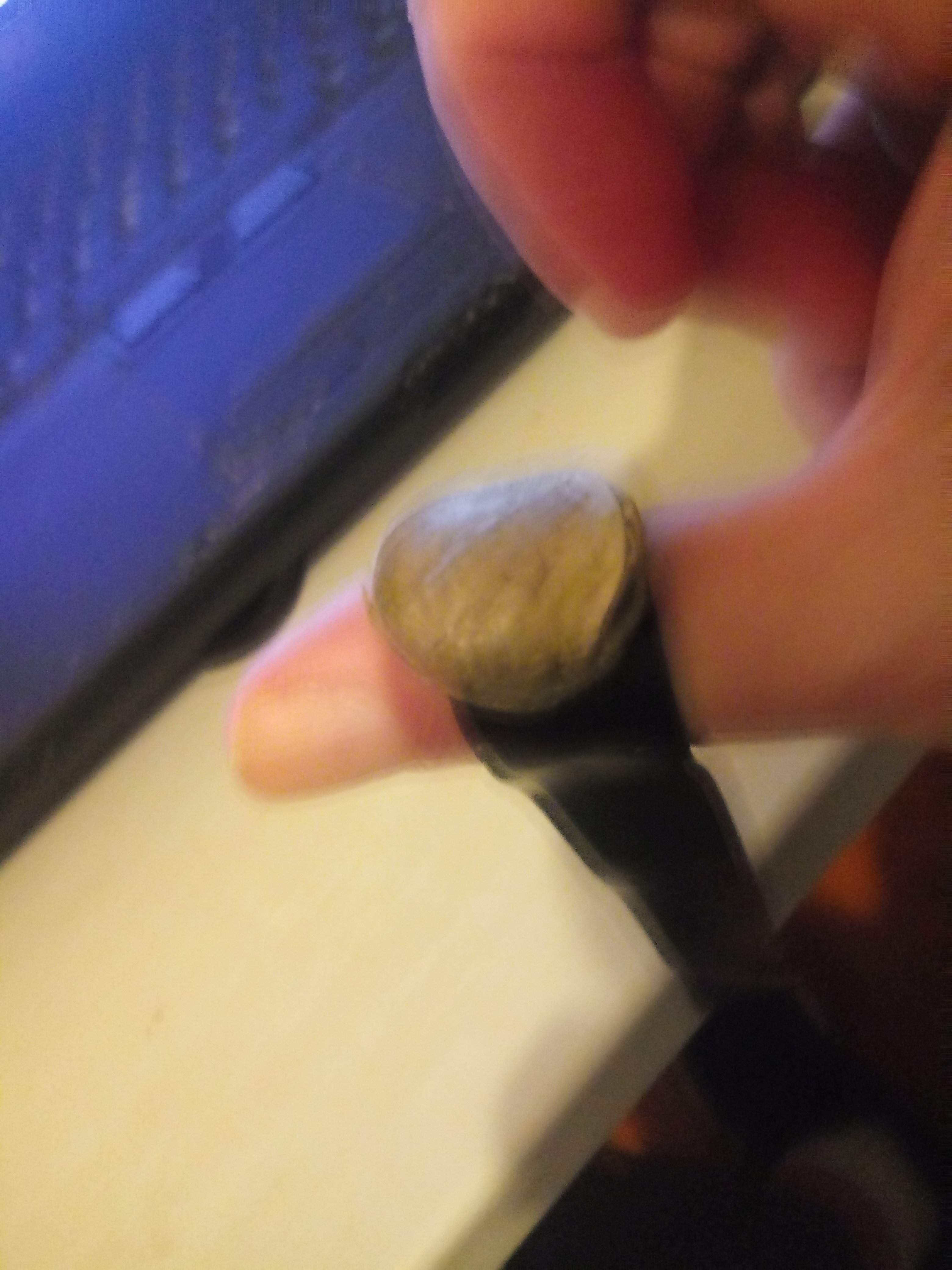 20200912_195433.jpg