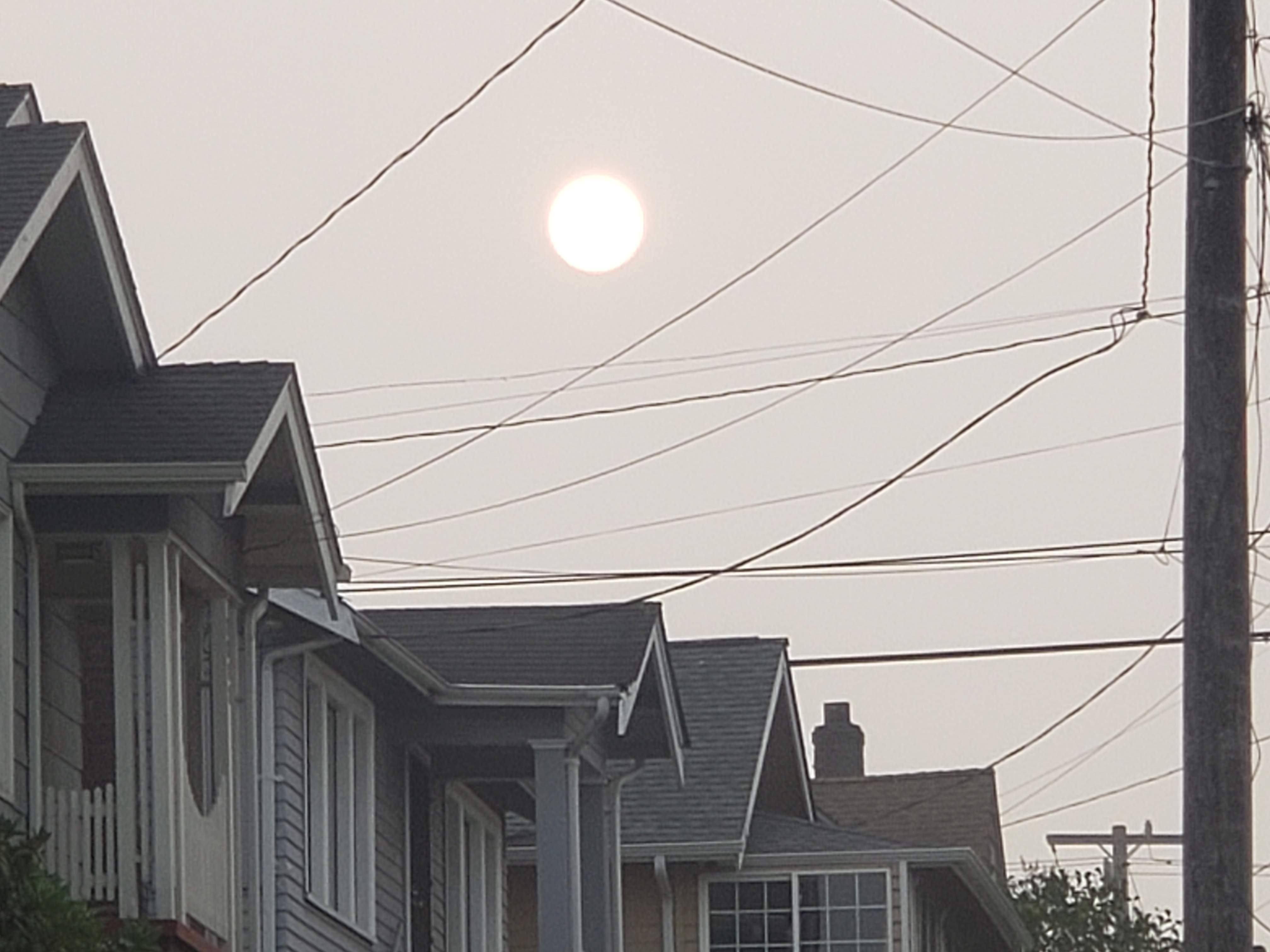 20200913_181337.jpg