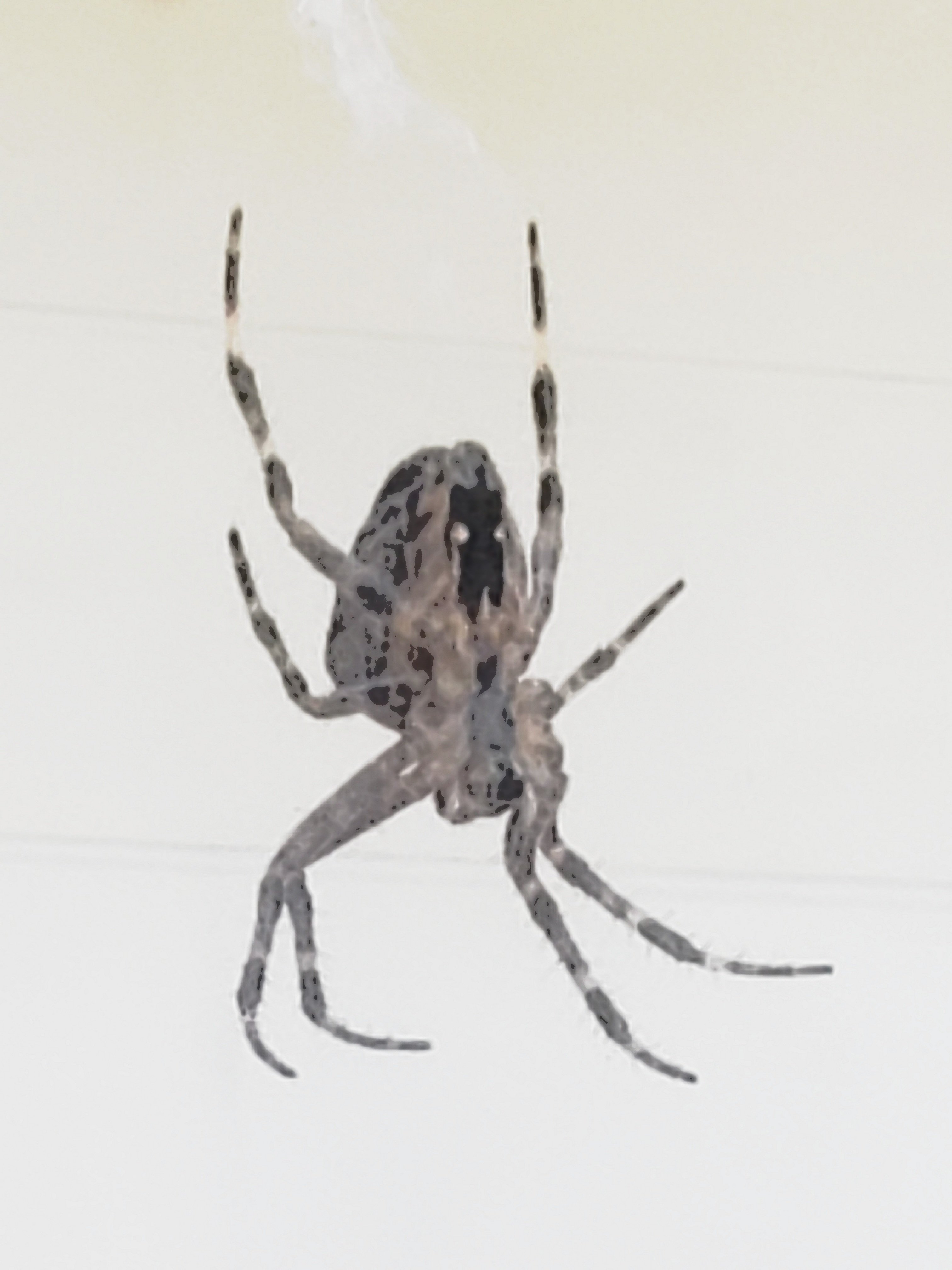 20200919_002937.jpg